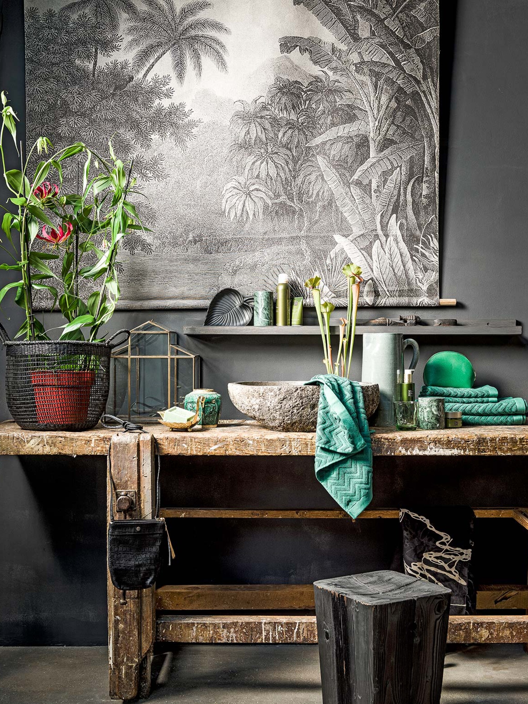 donkere badkamer vergroenen deze 5 badkamerplanten overleven zonder daglicht
