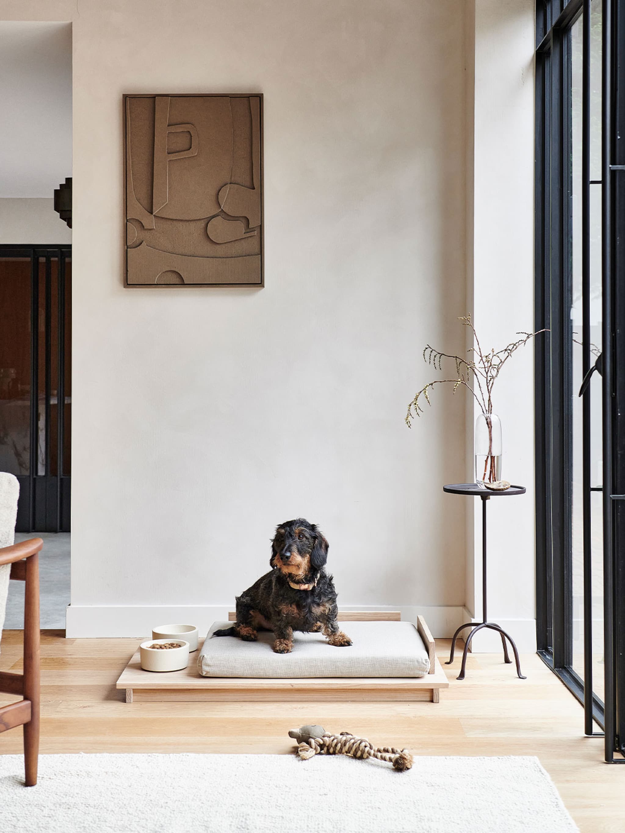 smart home gadgets huisdier verzorgen