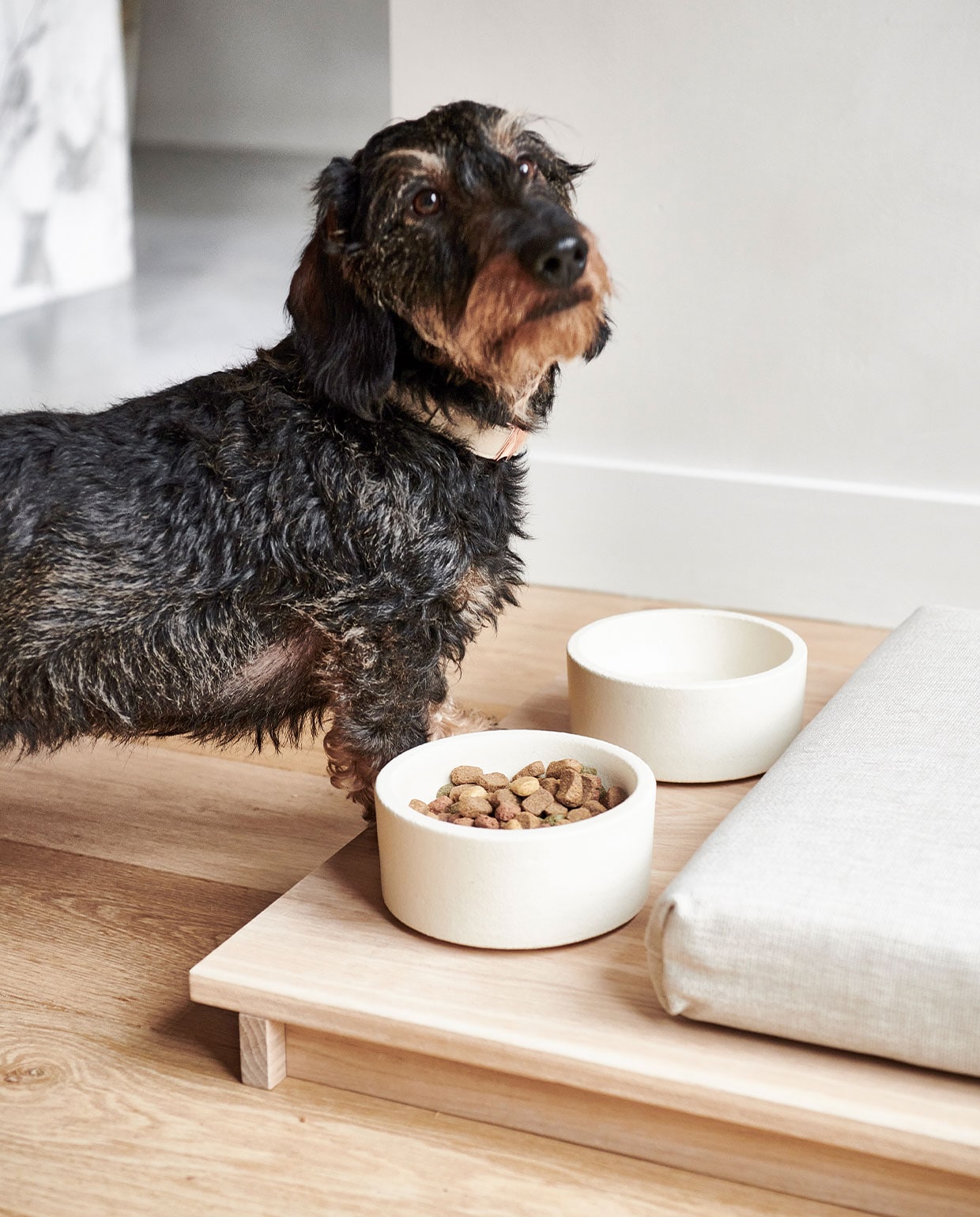 beeld vtwonen vtwonen 05-2022 | styling Kim van rossenberg | uitvoering Richard van Meerveld | fotografie Sjoerd Eickmans | Assistentie assistentie Sanne Ketelaar en hond Harry