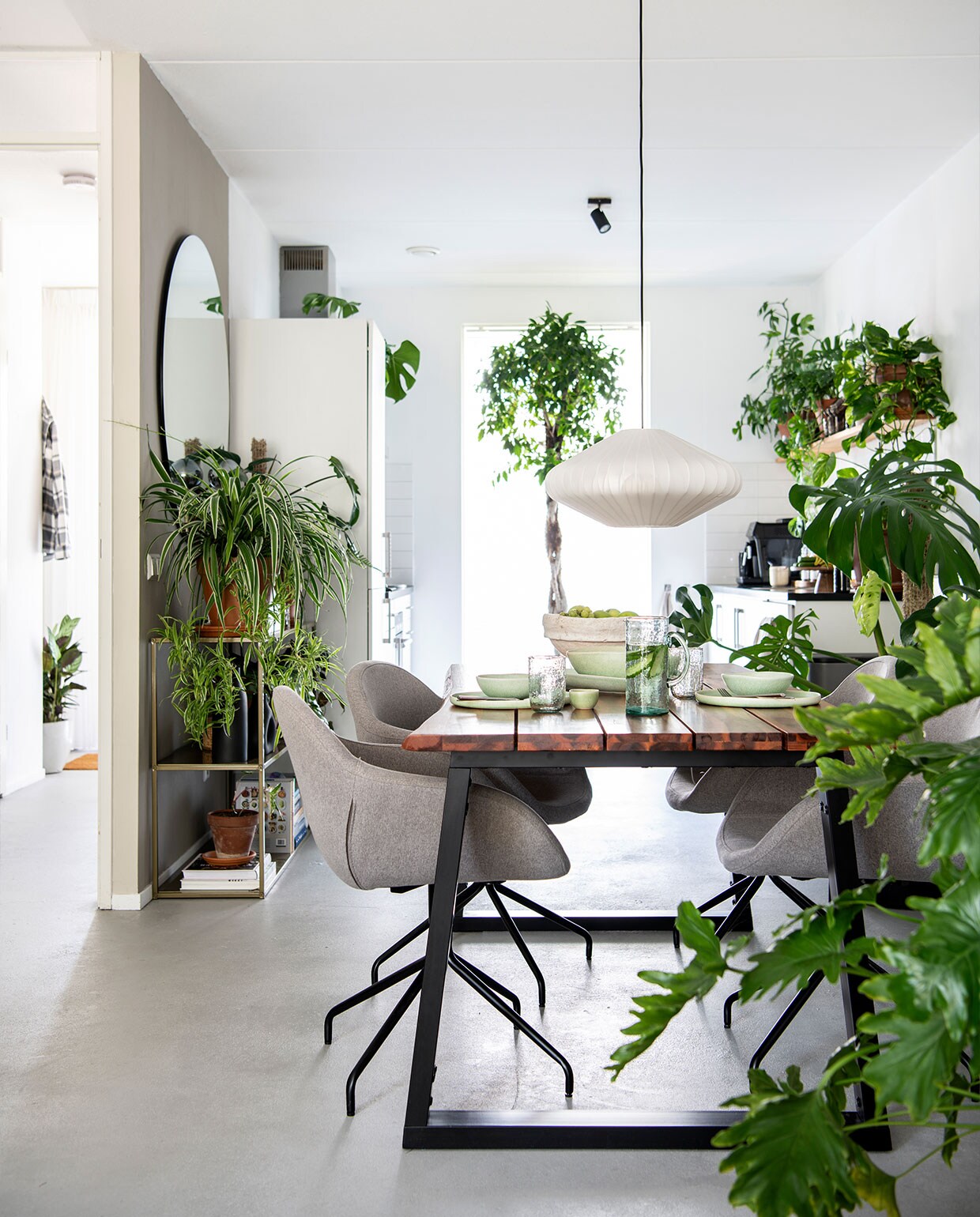 Plafondlamp, eetkamerstoelen Kwantum. Eettafel tweedehands. Servies H&amp;M Home, open kast Karwei, spiegel House Doctor, plantenpotten Intratuin, keuken Siemens. Planten: Monstera Deliciosa, Philodendron Shangri La, Strelitzia Nicolai, Chlorophytum Comosum, Monstera Minima, Dicksonia Antarctica, Philodendron Scandens Micans. vtwonen 3-2022 | Productie Insidehomepage | Styling Esther Jostmeijer | Fotografie Louis Lemaire | Tekst Inge van Lieshout | Tekstbewerking Sara Madou