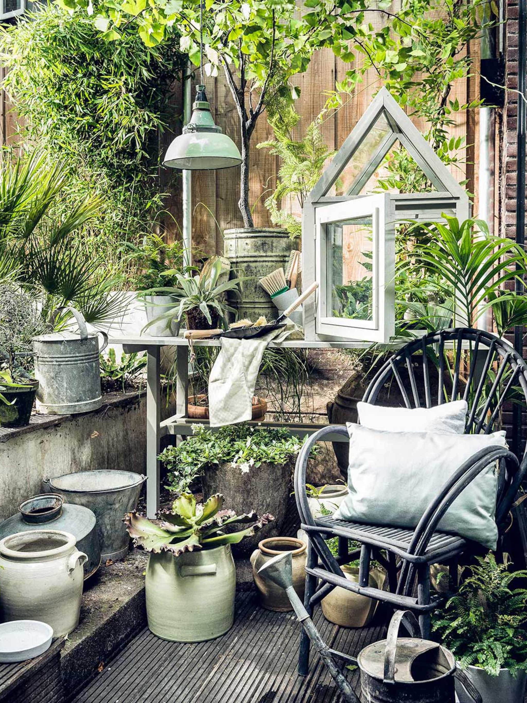 deze kamerplanten kunnen ook gewoon buiten staan