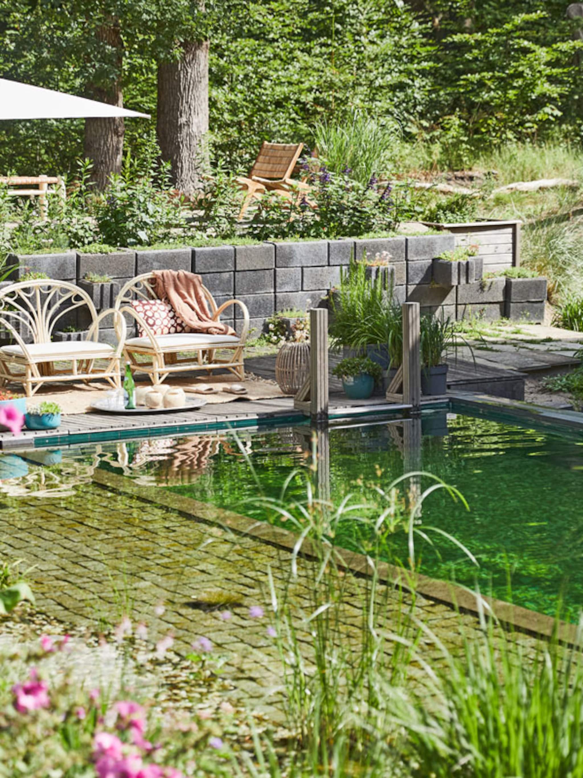 buitenkijken in tuin met zwemvijver
