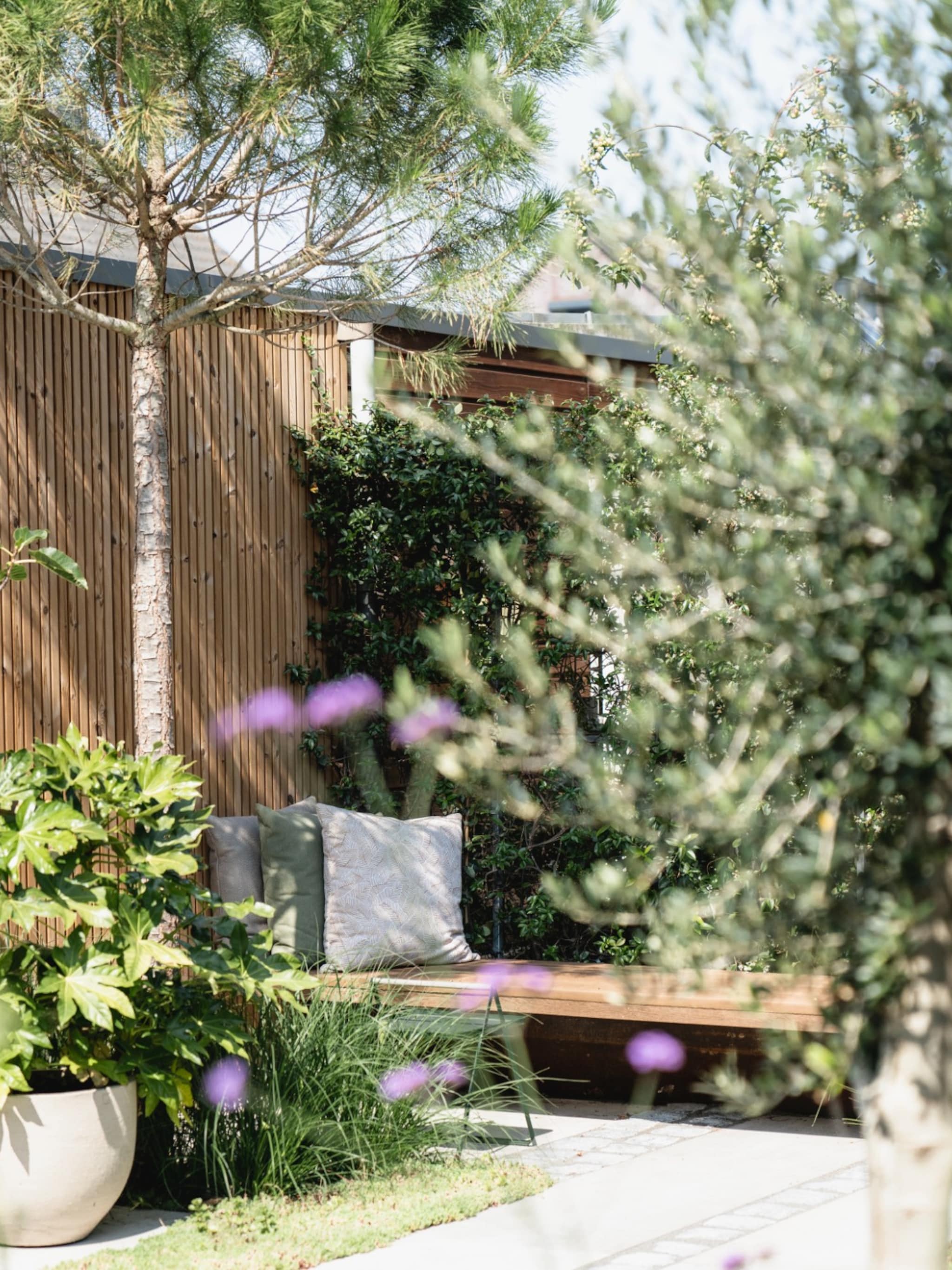 nu planten straks plezier deze dingen kun je in februari in de tuin doen