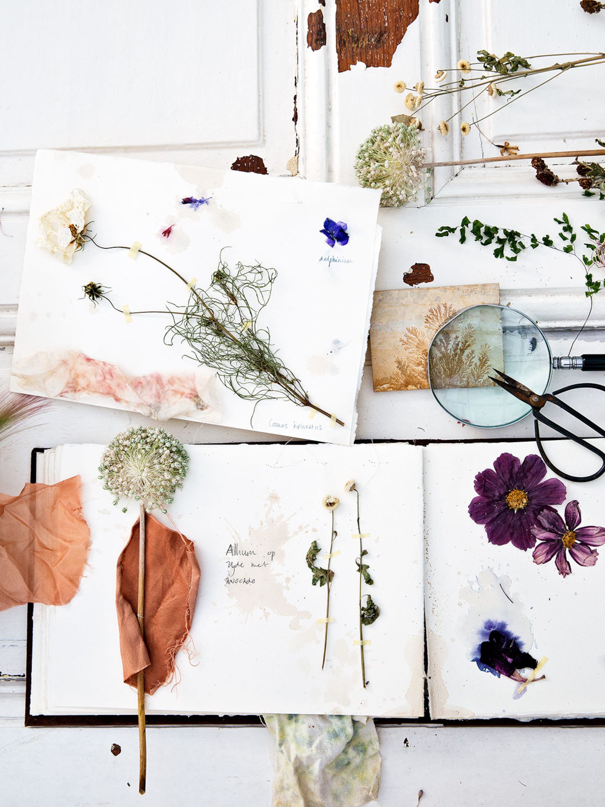 dat wordt een lekkere lente 5 diy s voor een kleurrijk voorjaar