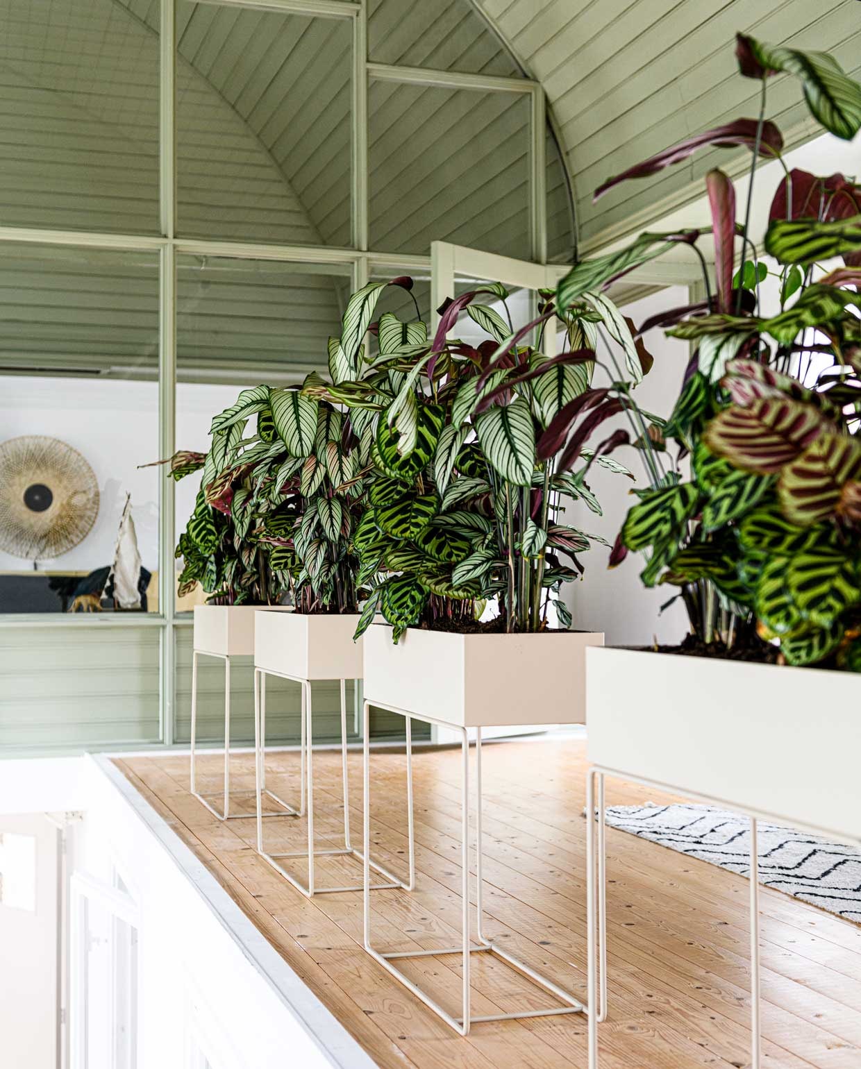 Ferm living plant box plantentafel €199,-, hkliving zigzag runner vloerkleed €64,95, styling Liza Wassenaar | fotografie Sjoerd Eickmans