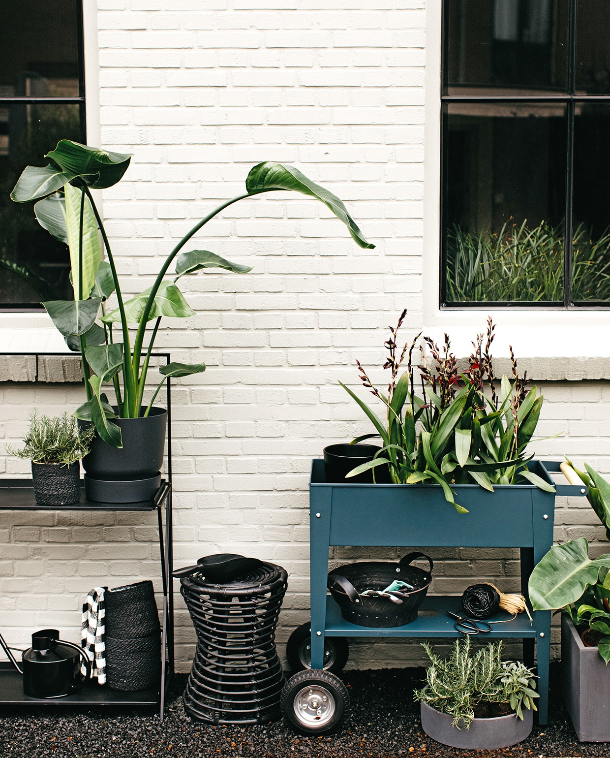 Zwarte plantentafel Decoris (fonq). Zwarte pot Greenville van Elho, natuurraffia, ronde schaal betongrijs, kruidenplanten, kubuspot betongrijs (intratuin). Plant Strelitzia Nicolai, manden van zwart jute, wafeltheedoek, zwarte kruk Kubu Kinabalu, orchideeën, zwarte rubberen schaal (loods5.nl). Zwarte kunststof multischep (karwei). Kweektafel antracietblauw (wiltfang). Schaartje (dille-kamille). Zwart bindbuisdraad (gamma.nl). vtwonen tuin special 1 2020 | styling Moniek Visser | fotografe Danique van Kesteren