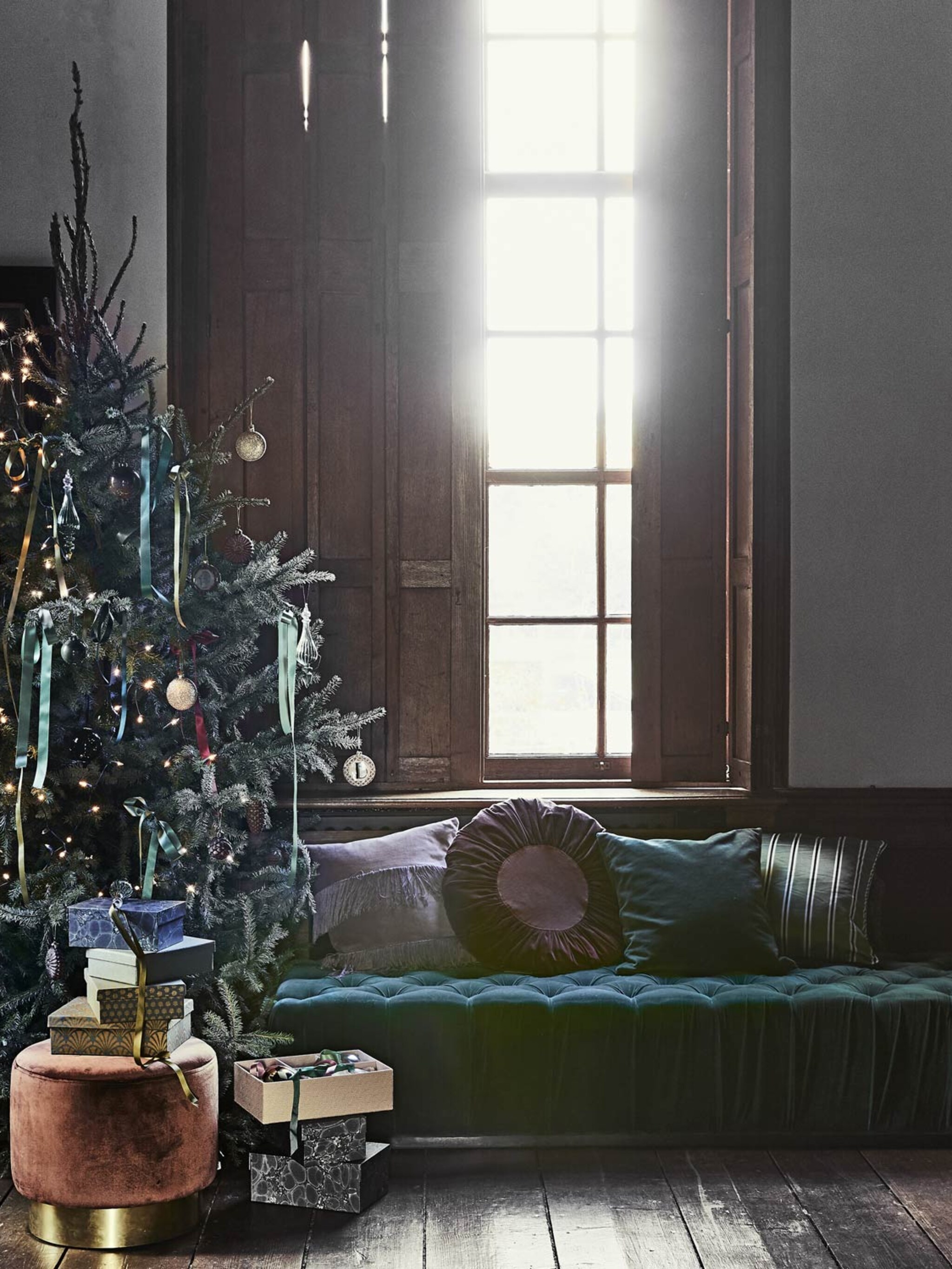 twee emmertjes water dit is hoe vaak je een kerstboom water moet geven