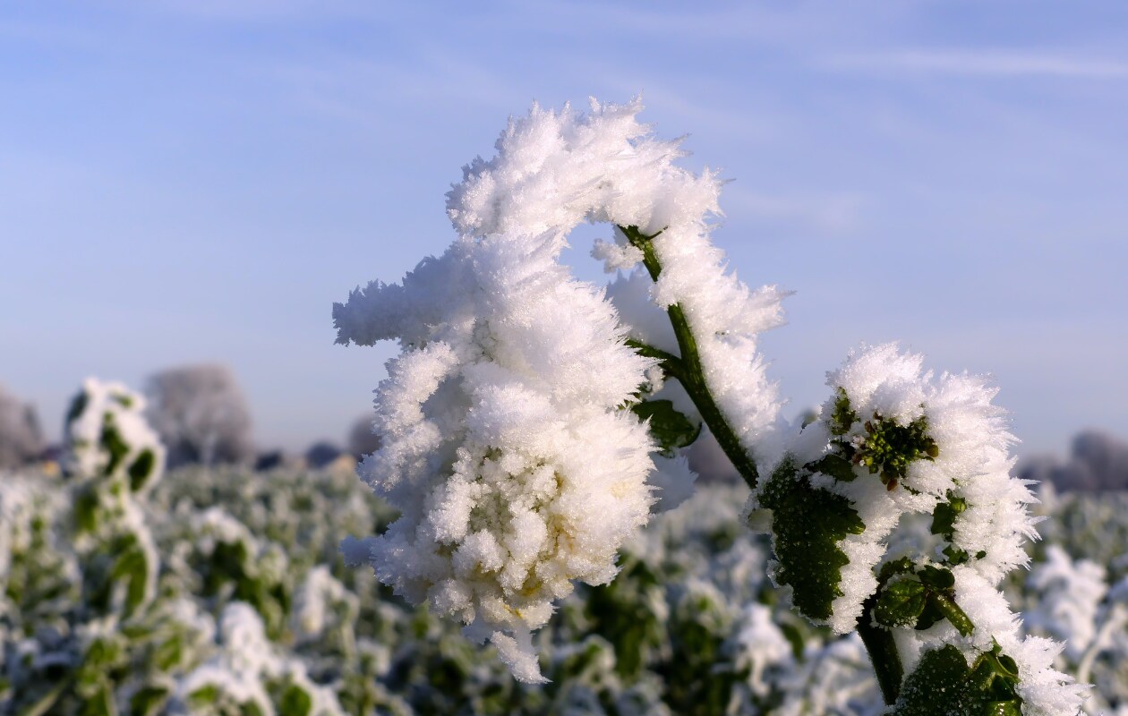 beeld vtwonen