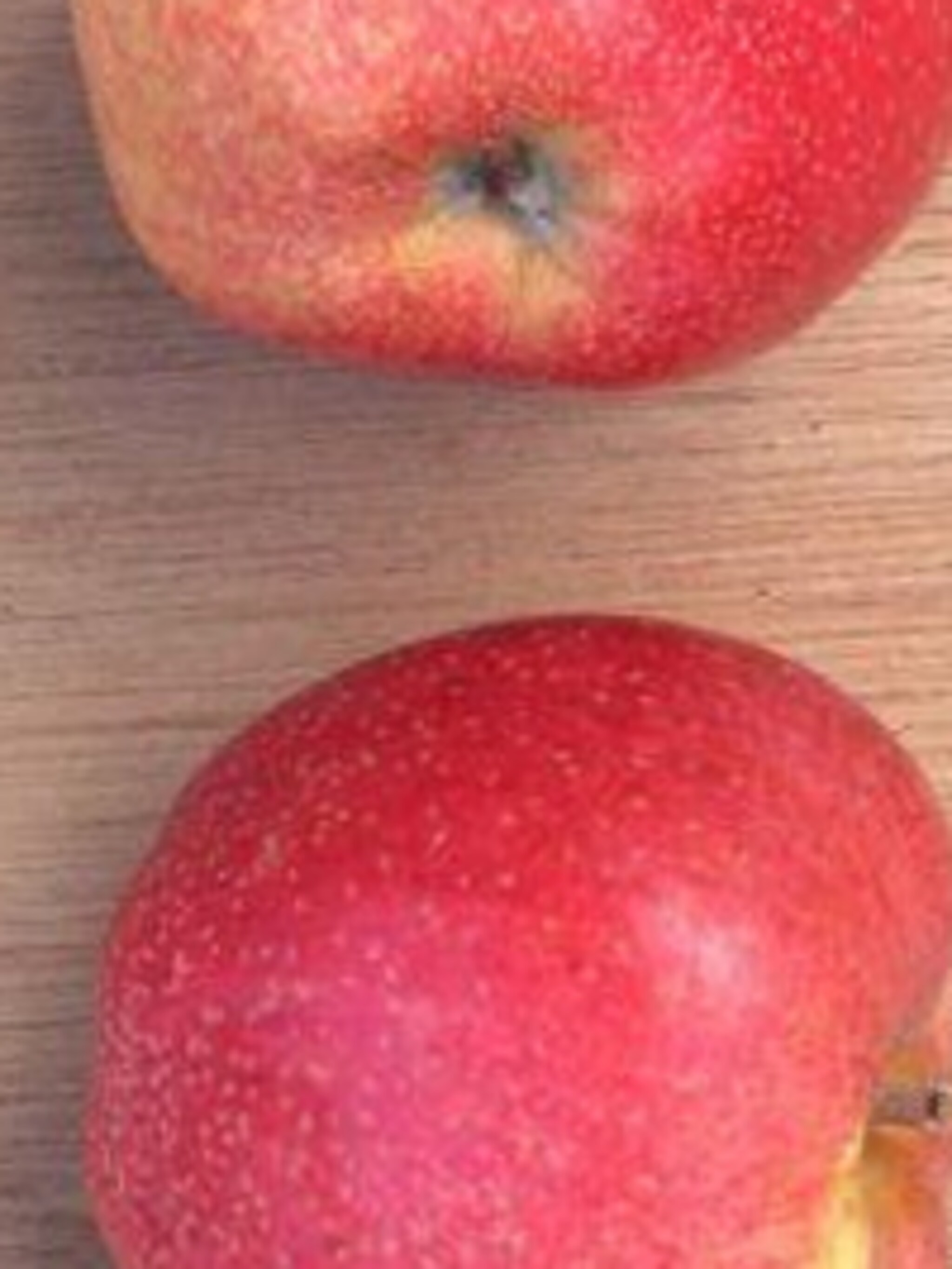 appel zoete ermgaard