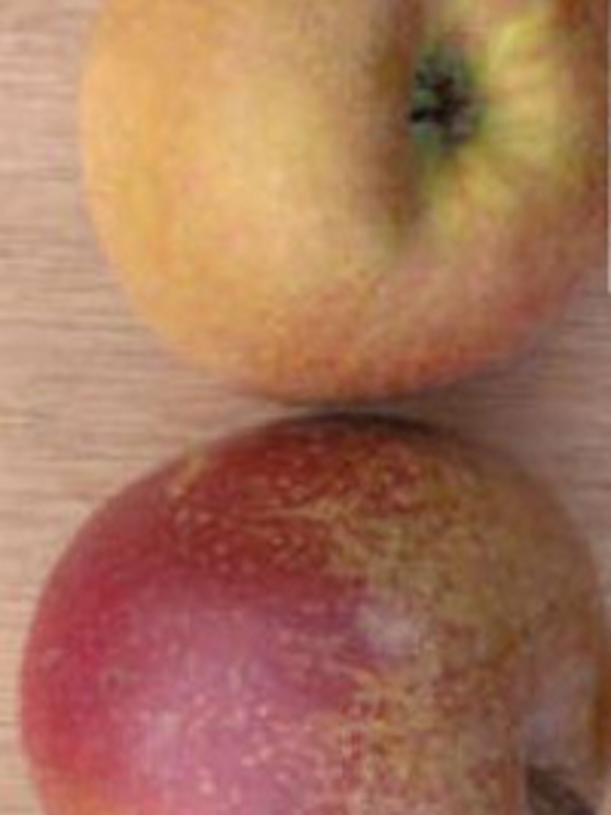 appel schone van boskoop