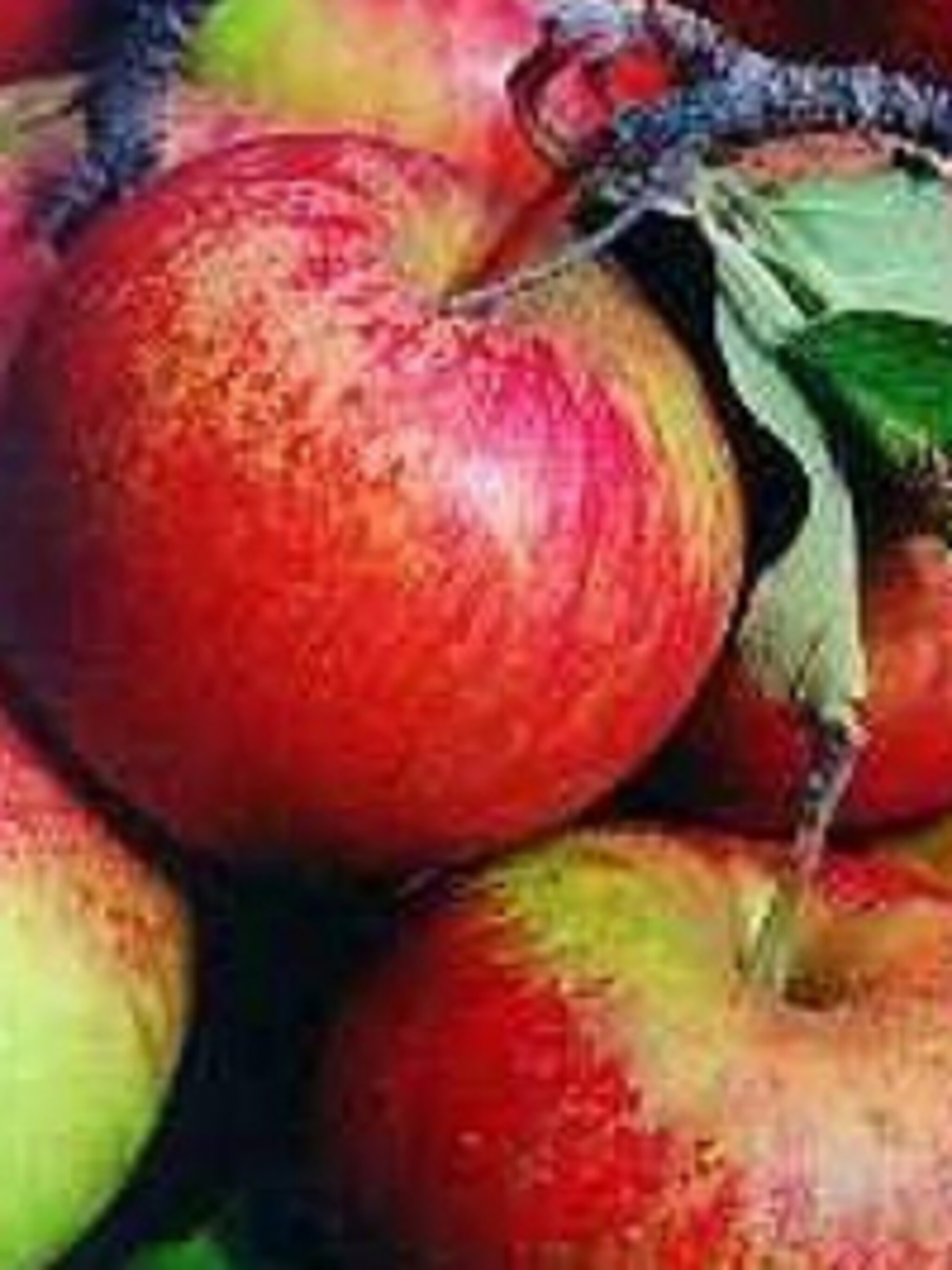 appel cox s orange pippin