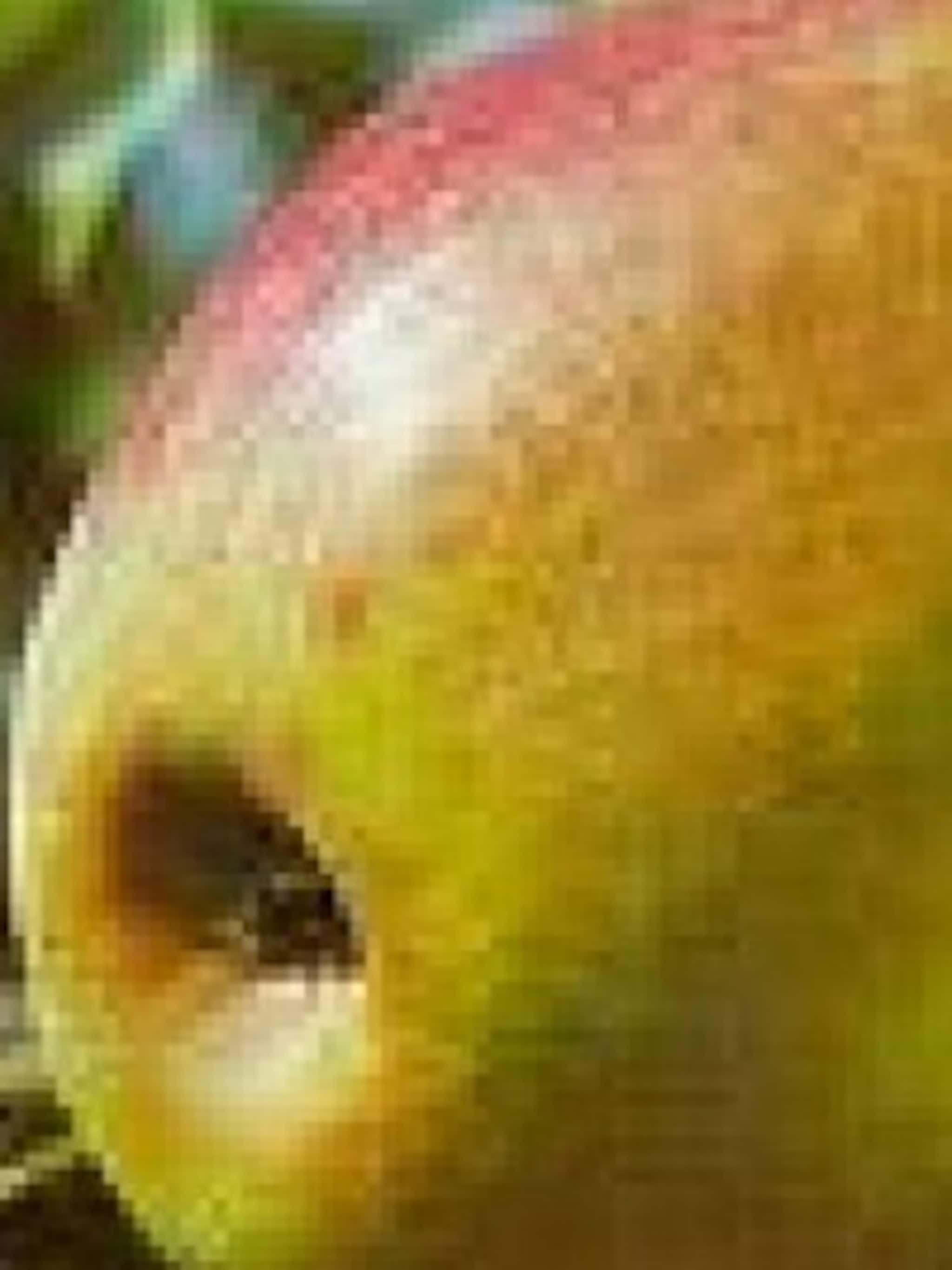 appel rode boskoop