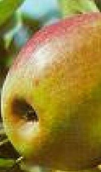 beeld vtwonen