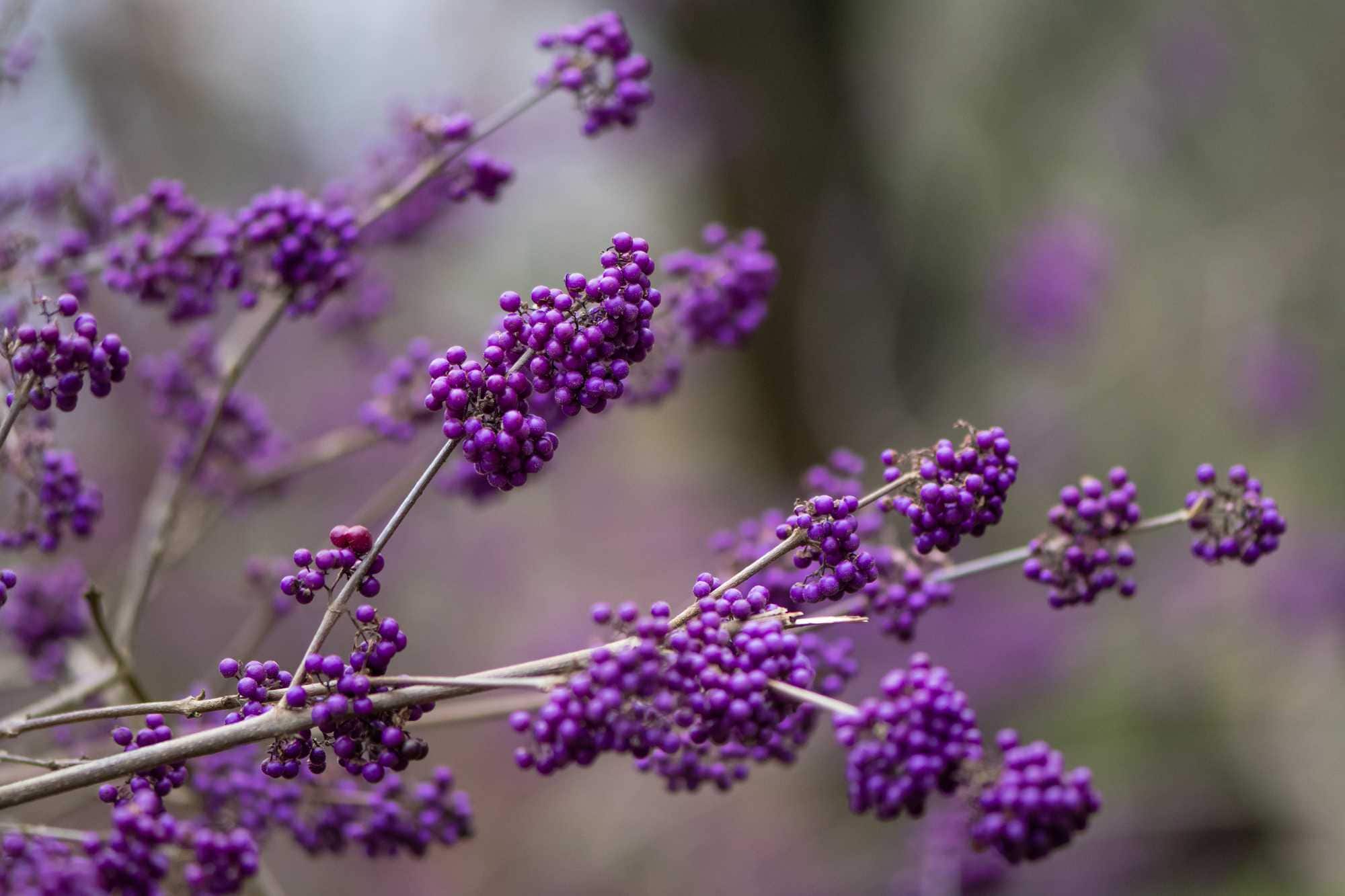 beeld vtwonen Shutterstock / IanRedding