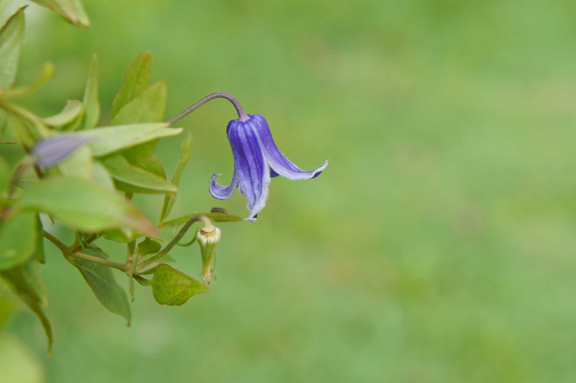 beeld vtwonen Shutterstock / Sherlyn Chew
