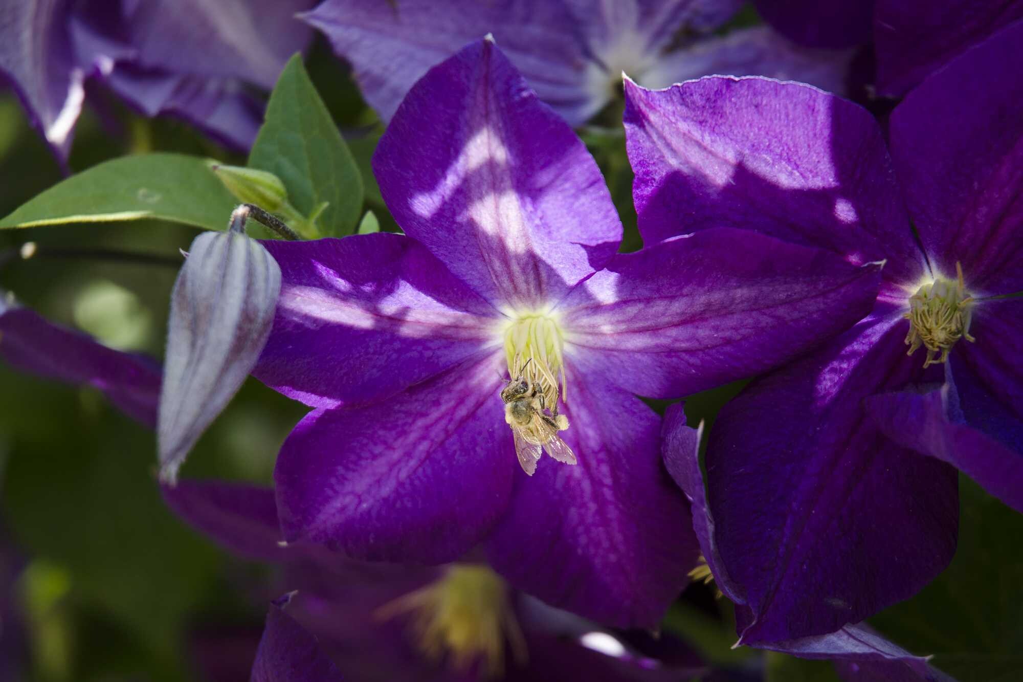 beeld vtwonen Shutterstock / Radule