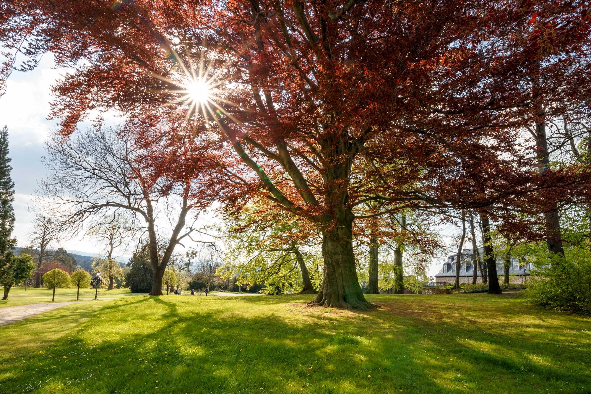 beeld vtwonen Shutterstock / ohenze