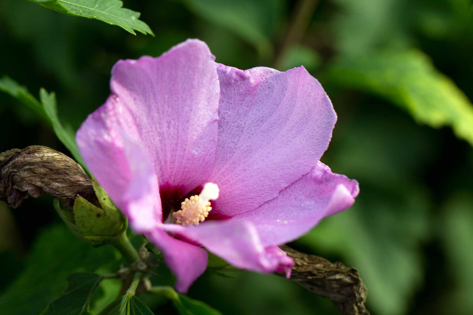 beeld vtwonen Shutterstock / a9photo