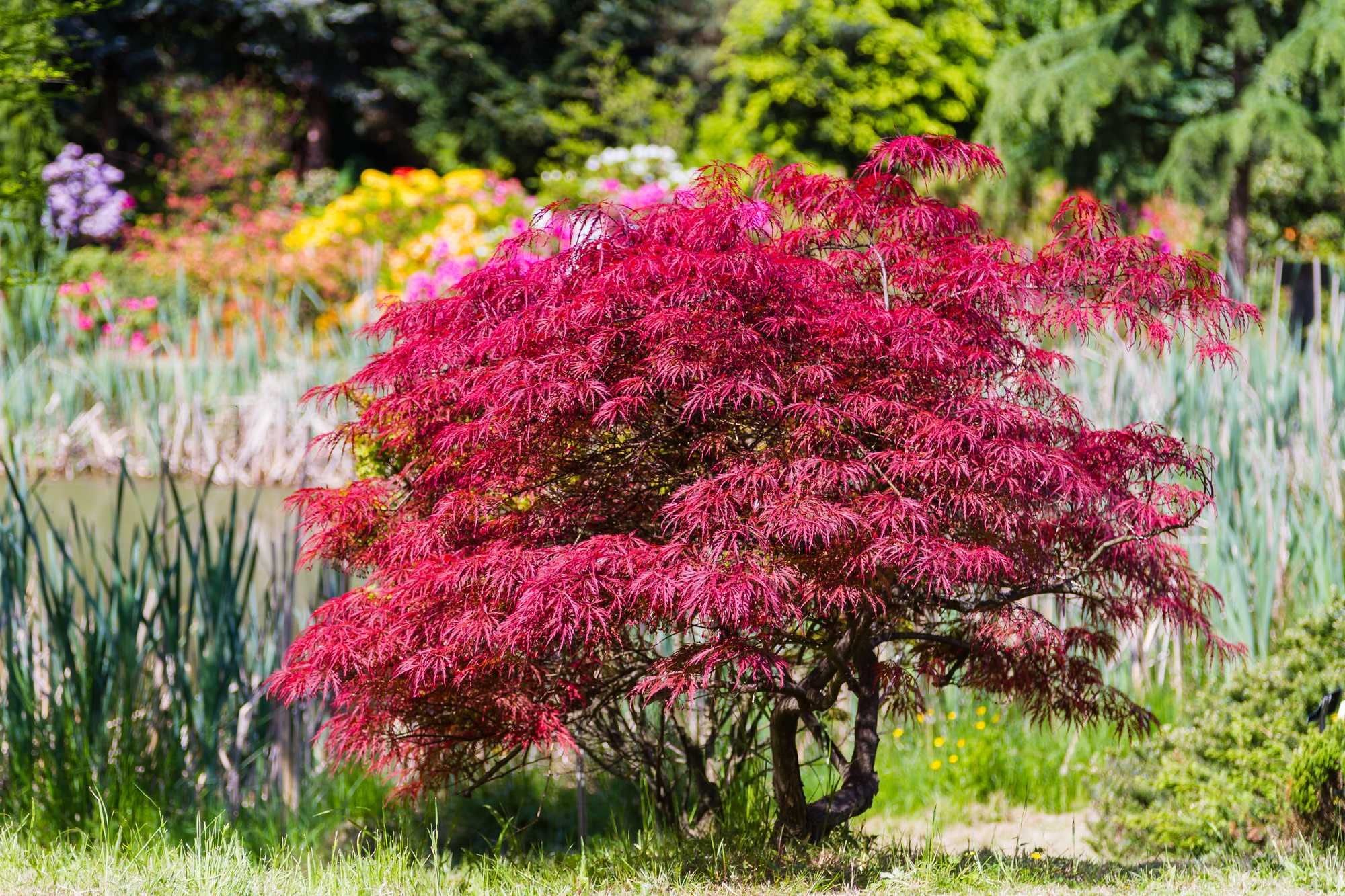 beeld vtwonen Shutterstock / Milosz Maslanka