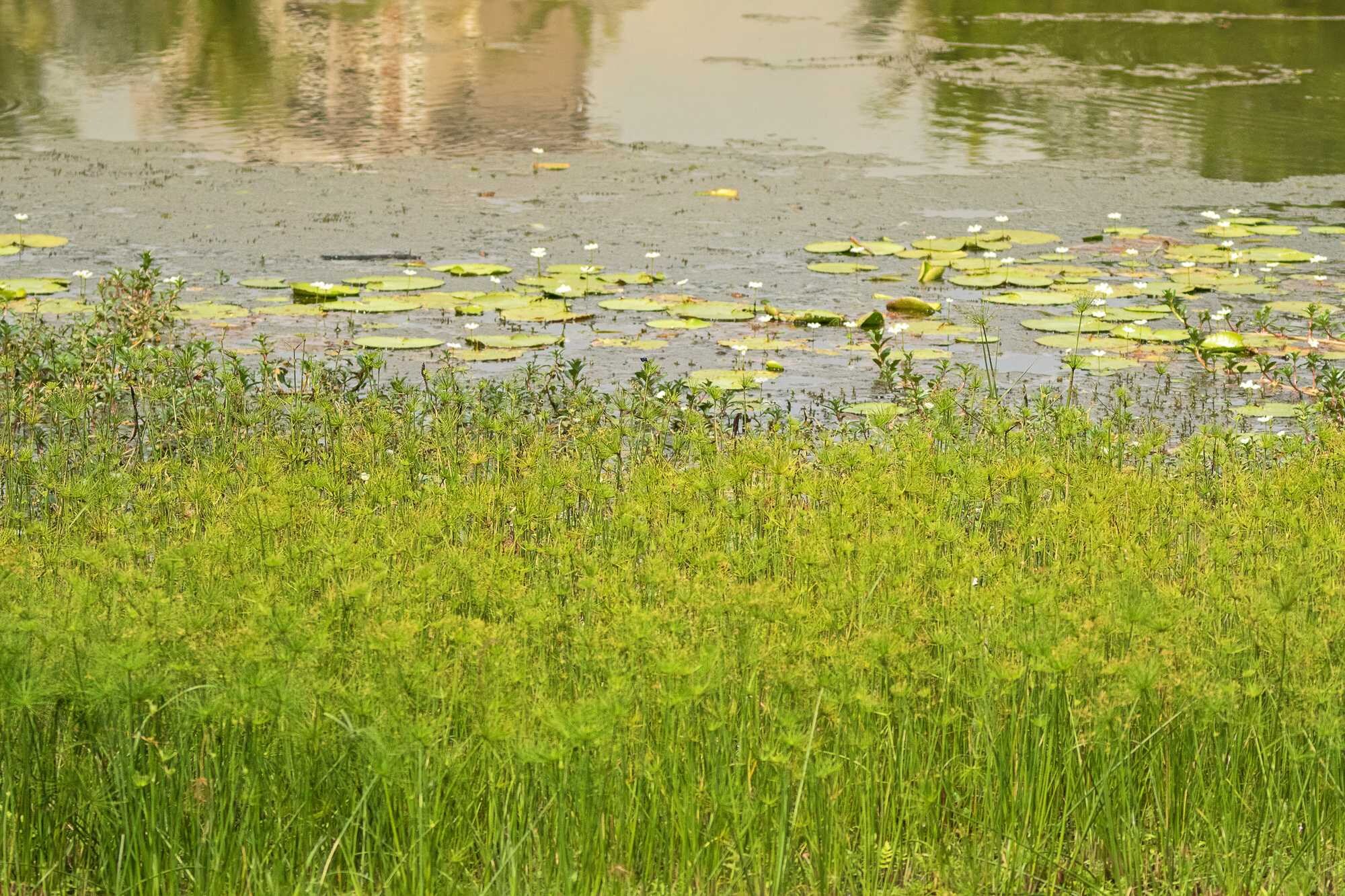 beeld vtwonen Shutterstock / sasimoto