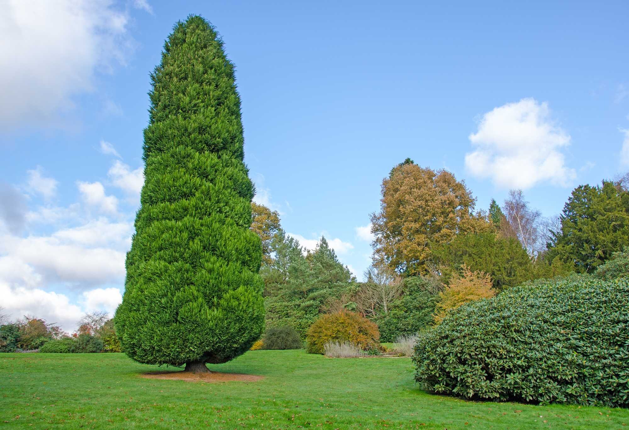 beeld vtwonen Shutterstock / Paul J Martin