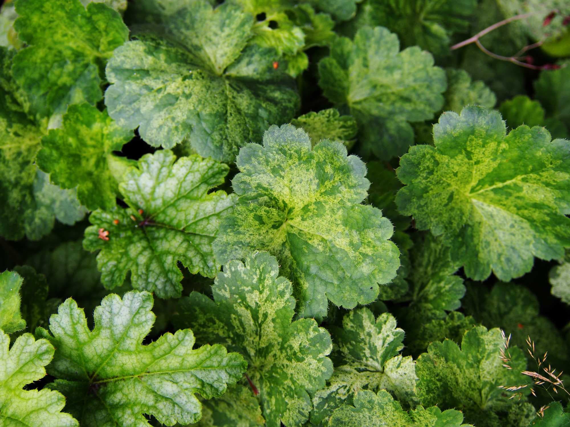beeld vtwonen Shutterstock / Anna Gratys