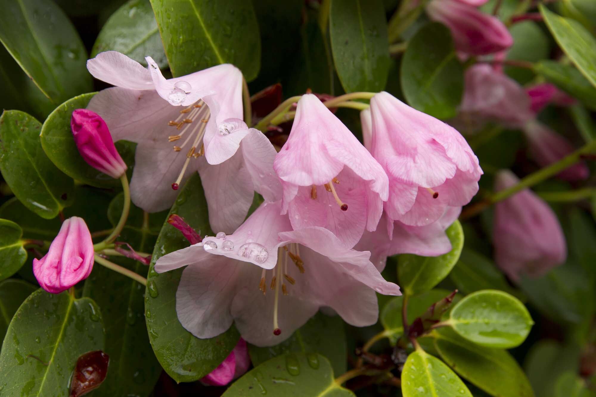 beeld vtwonen Shutterstock / DarZel