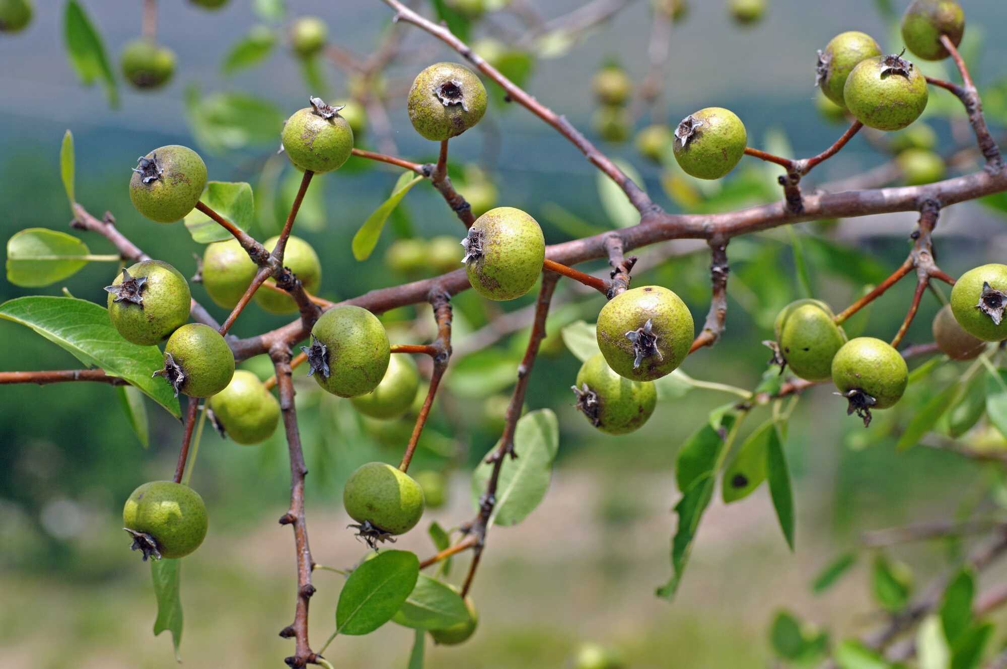 beeld vtwonen Shutterstock / F.Neidl