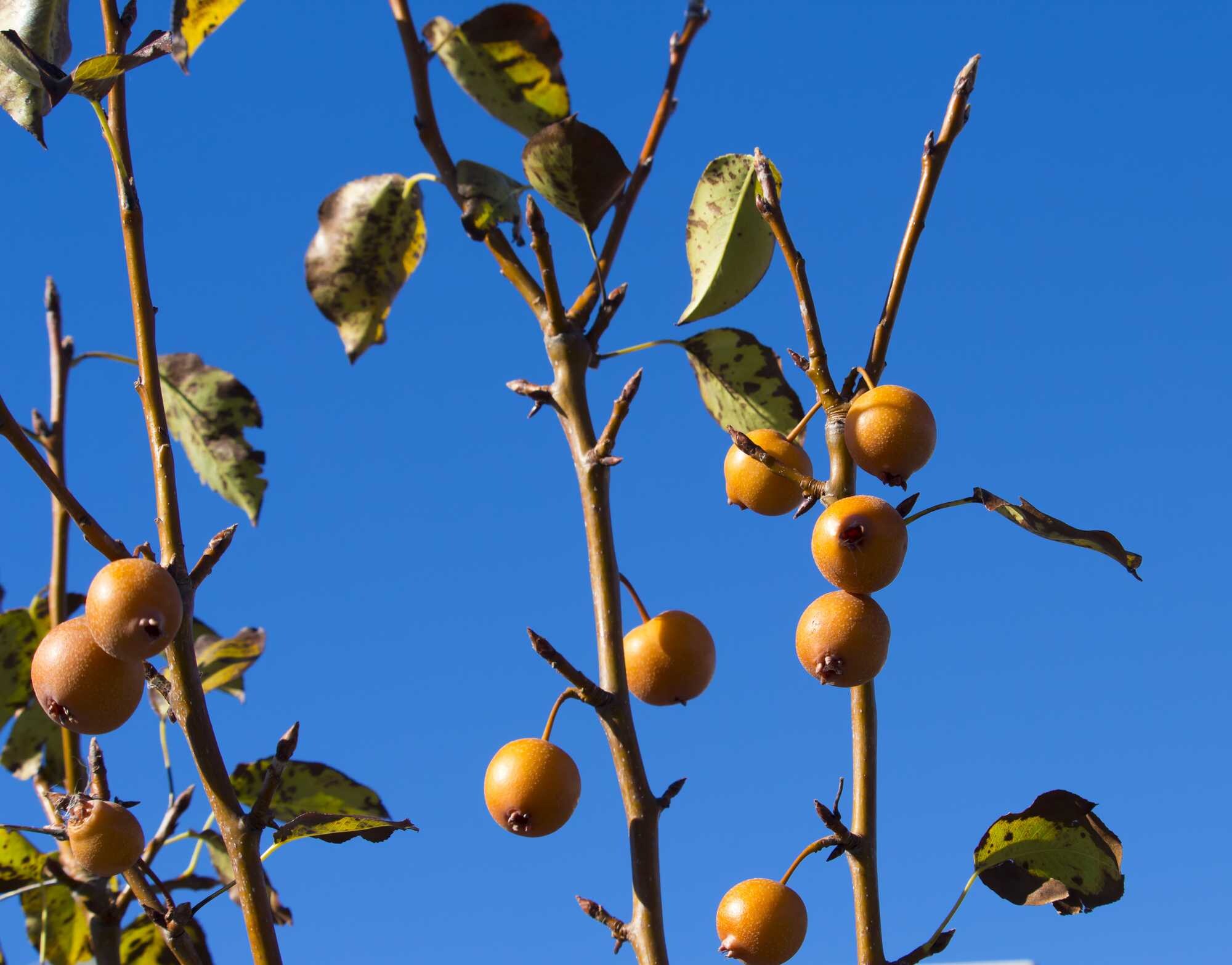 beeld vtwonen Shutterstock / alybaba