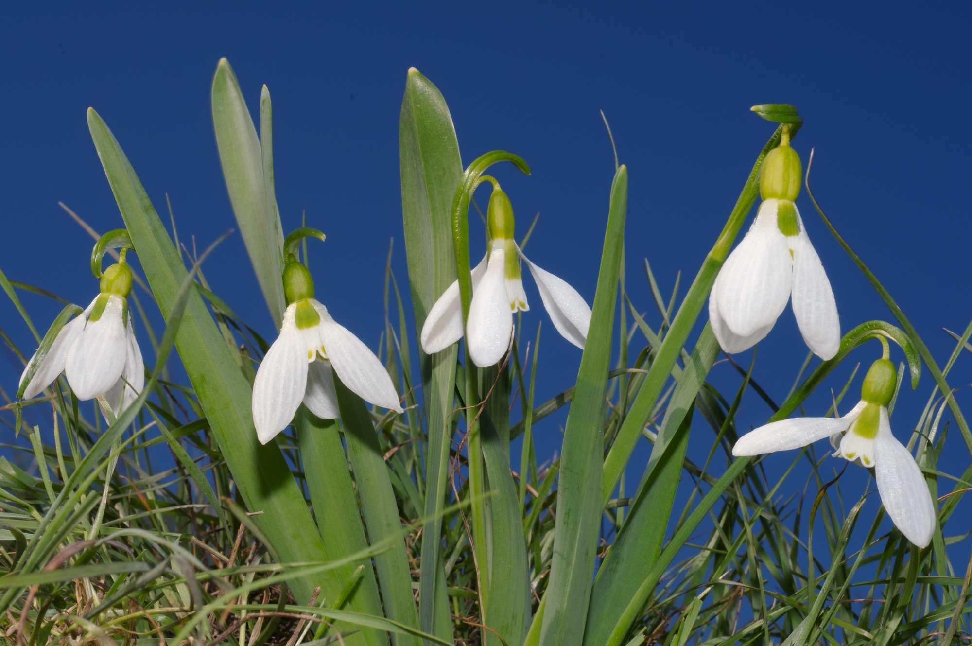 beeld vtwonen Shutterstock / Andriy Nekrasov