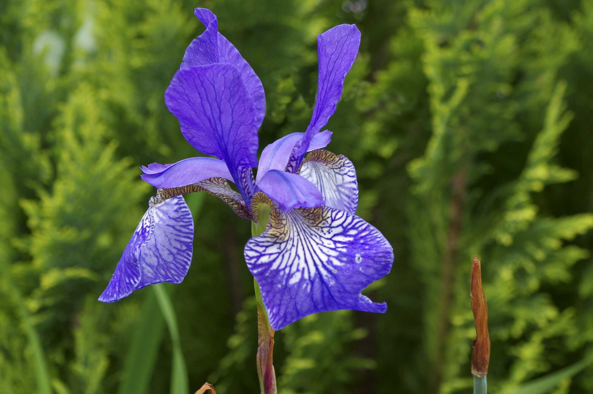 beeld vtwonen Shutterstock / Linda Cooke Words and Images