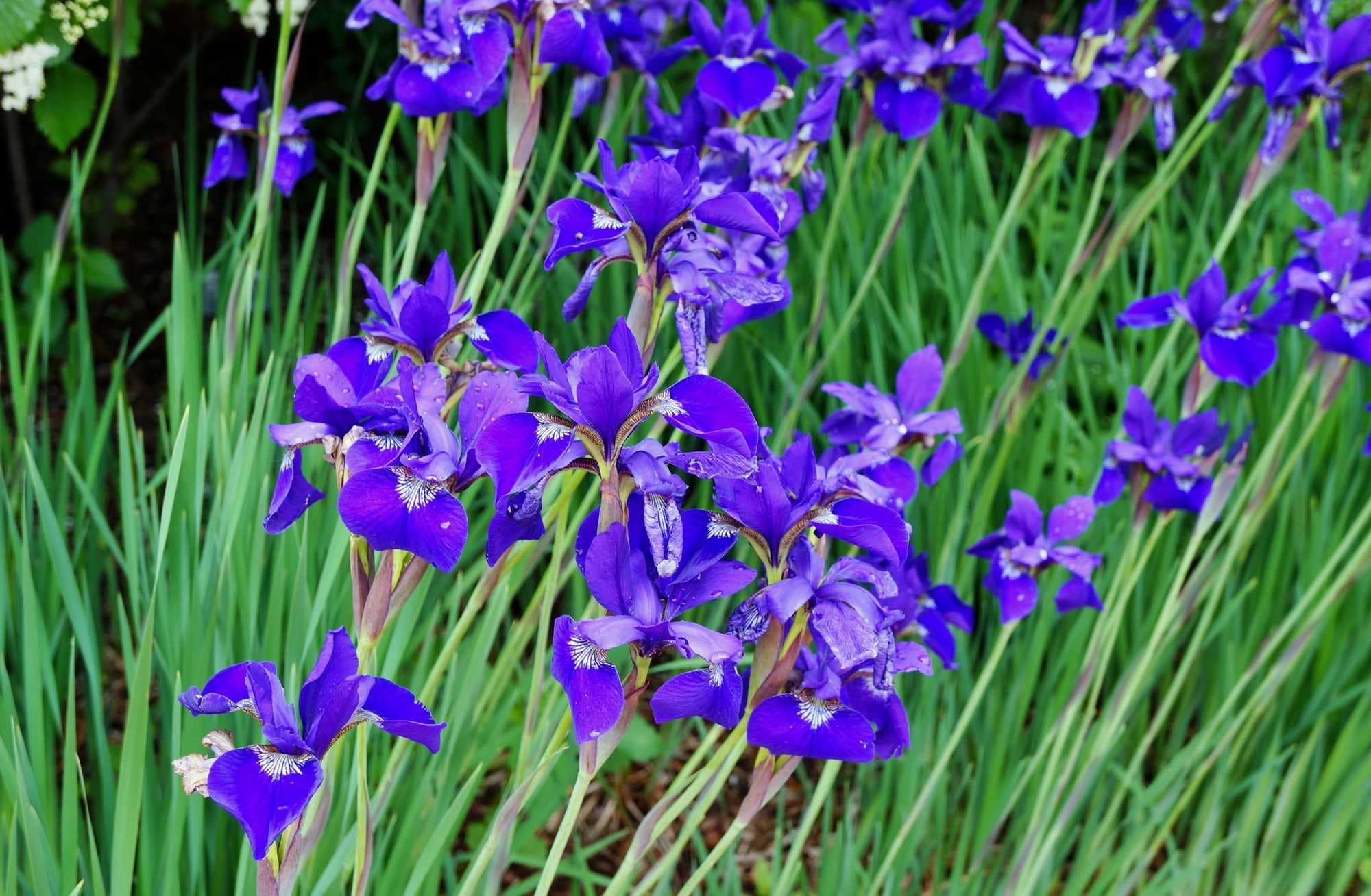 beeld vtwonen Shutterstock / EQRoy