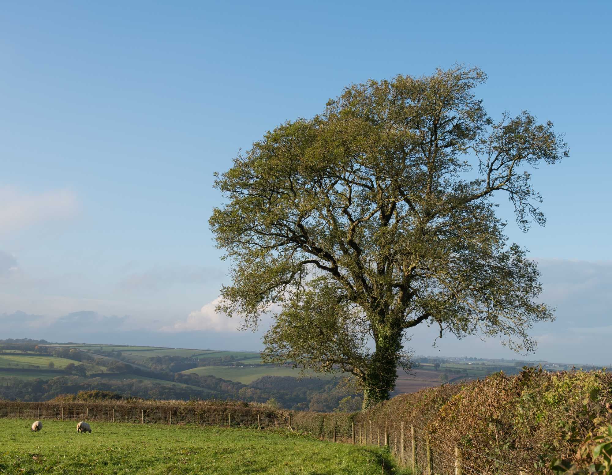 beeld vtwonen Shutterstock / Peter Turner Photography