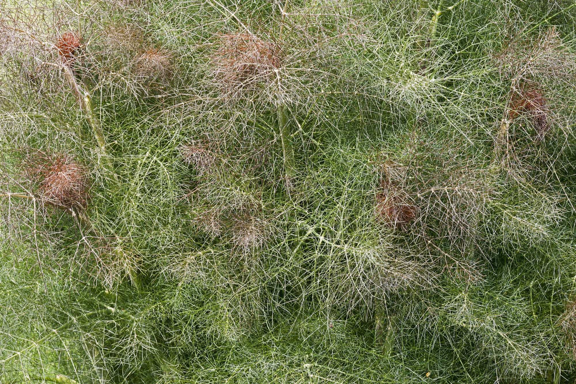 beeld vtwonen Shutterstock / Nikolay Kurzenko
