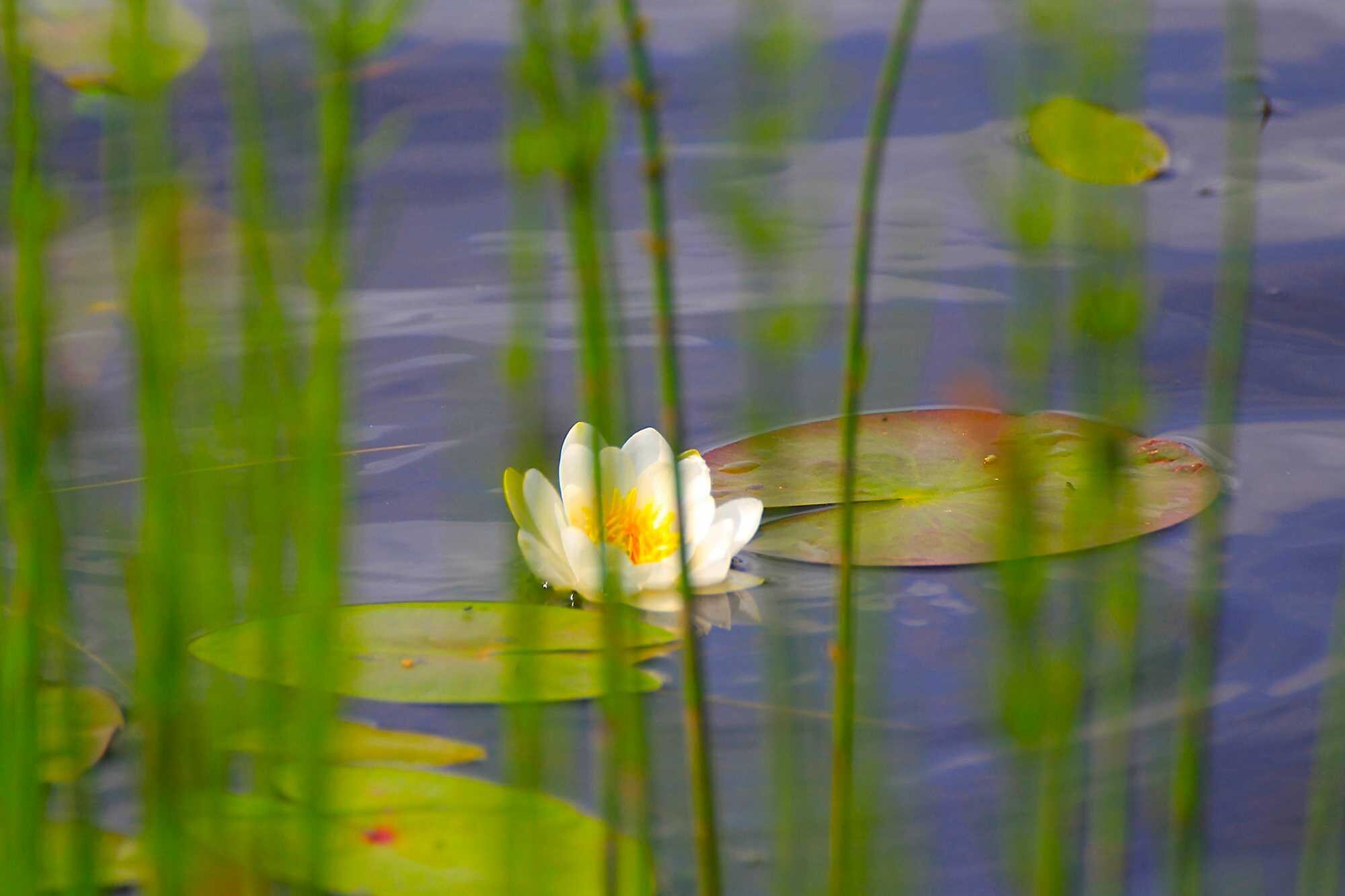 beeld vtwonen Shutterstock / Yaroslav Antonov