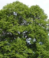 beeld vtwonen
