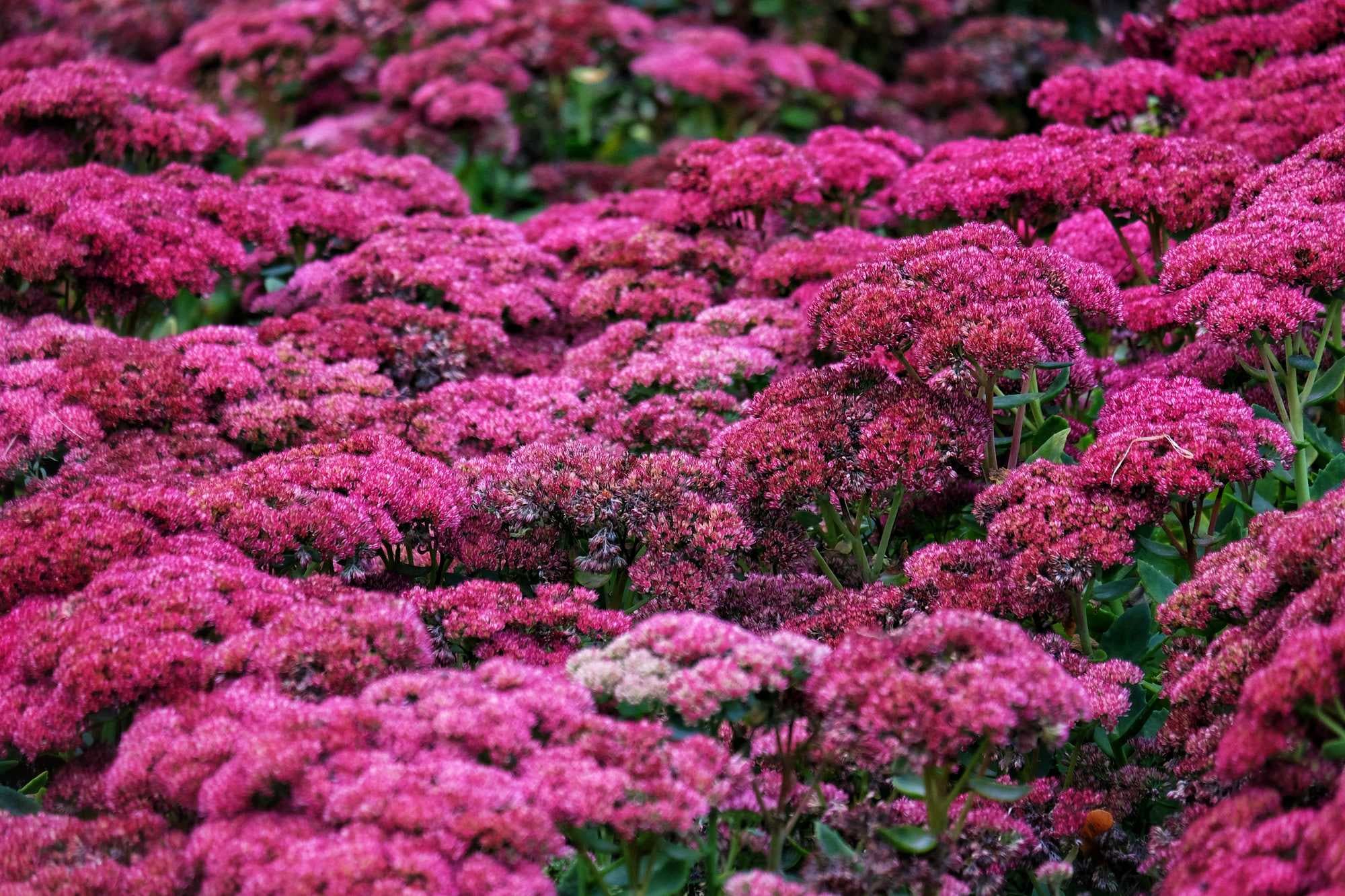 beeld vtwonen Shutterstock / Krerkrat