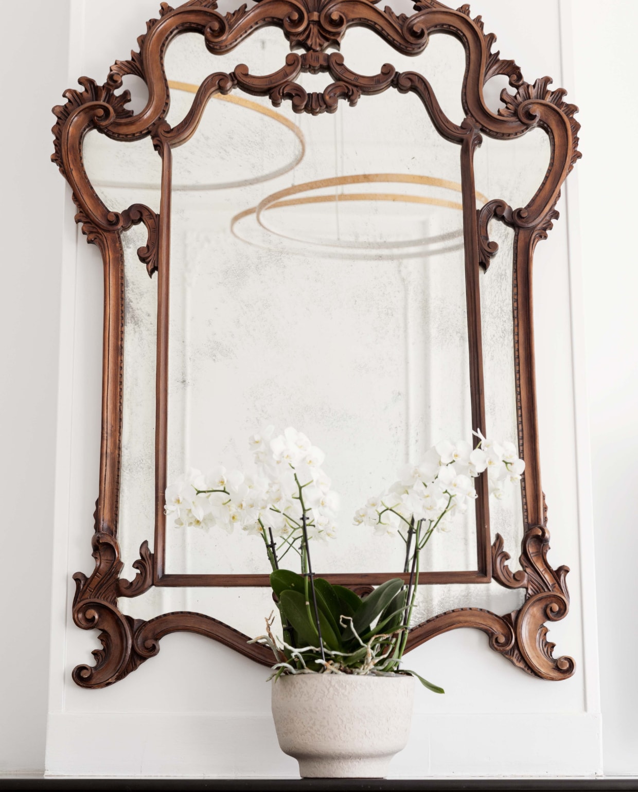 Spiegel Marktplaats. Bloempot H&amp;M home. Orchidee Intratuin.
