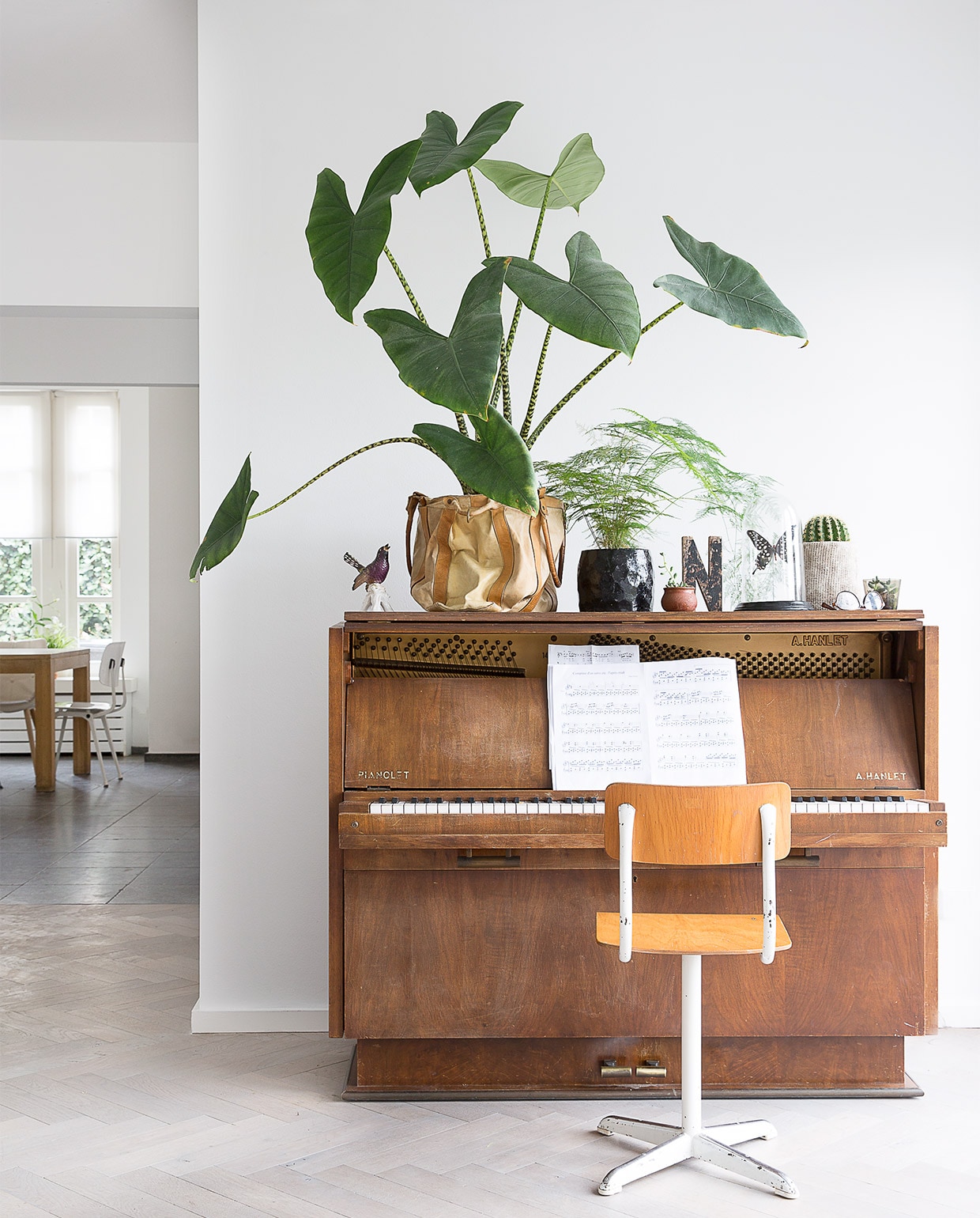 Grote plant op piano olifantsoor. Bloempot zelfgemaakt, uit vtwonen DIY 11-2015.