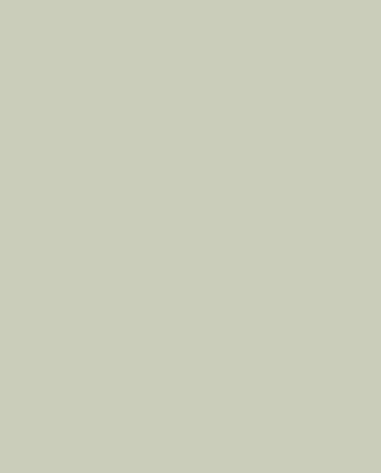 kleur Nordic Green van Karwei