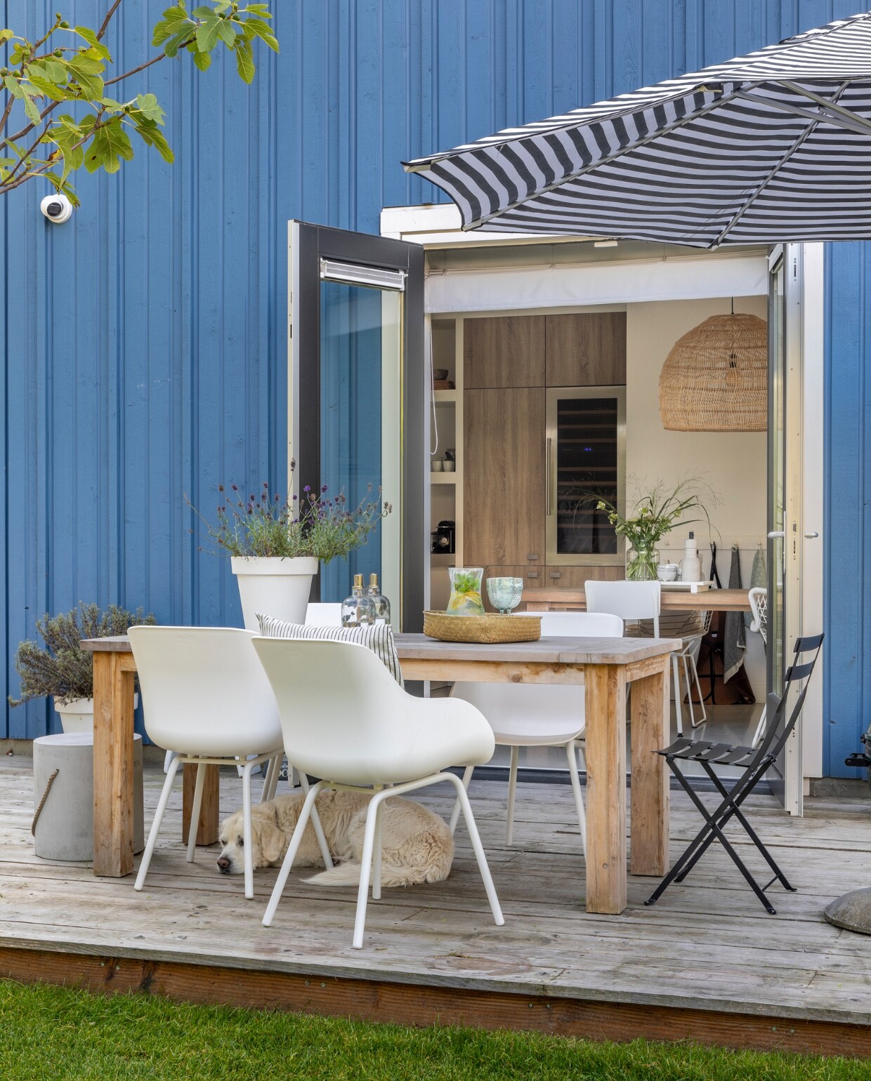 Wijnkoelkast Dunavox, tafel JoJo Living, stoelen Hartman, bistrostoel Fermob, mand op tafel Zusss, glazen Bomont Renesse. Kan en kruk Loods 5. Olielampen Intratuin, bloempotten Kwantum. Kussen H&amp;M, parasol Karwei.