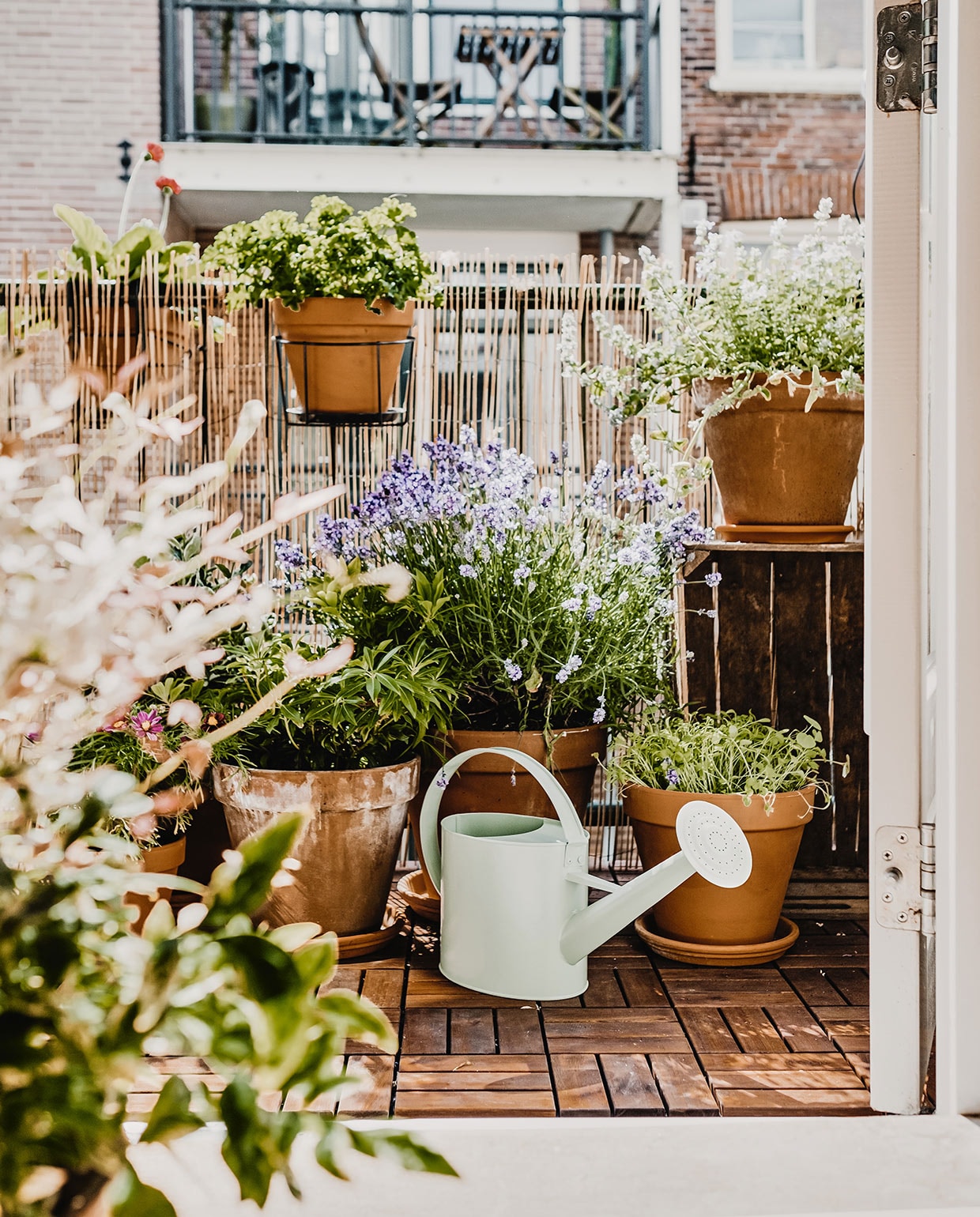 Balkon met veel planten