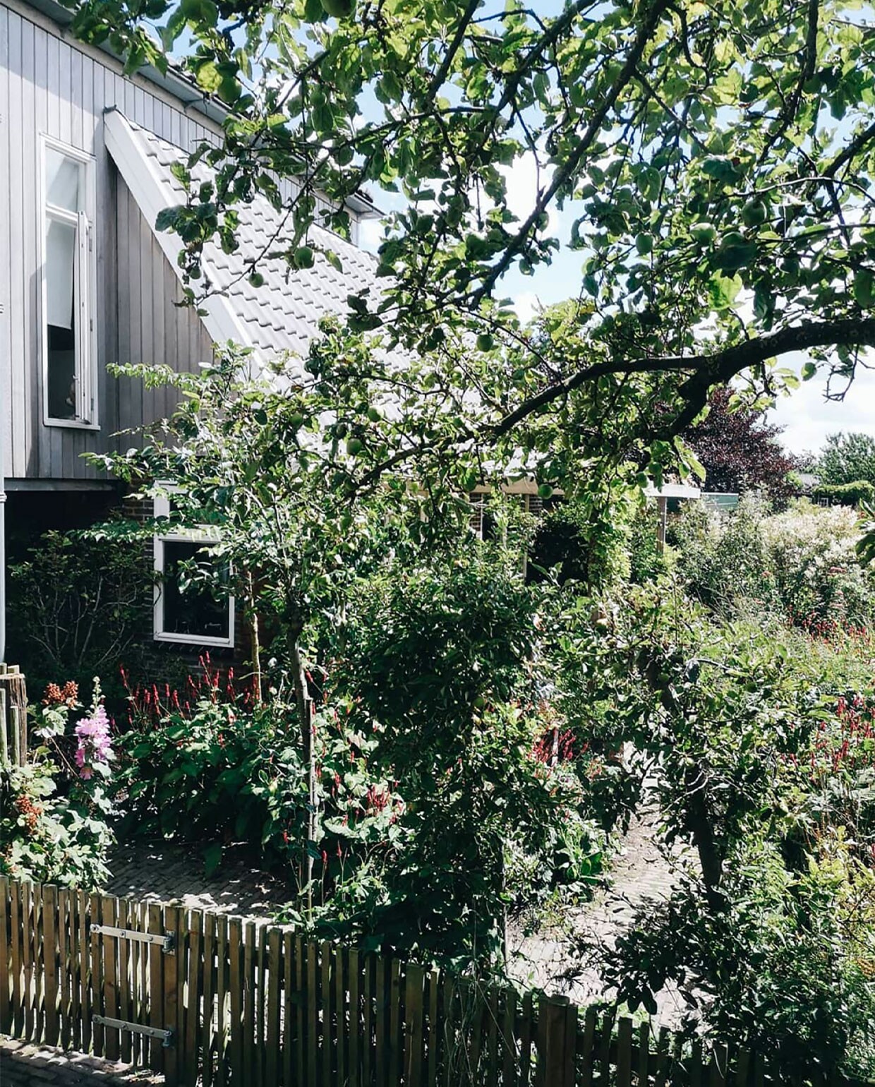 Mark maakte het hek rond de speeltuin zelf van schuttingplanken die hij op verschillende breedtes zaagde. De grote en twee kleine bomen zijn appelbomen (hoogstam- en twee laagstam-appelbomen). Linksachter een stoofpeerboom. Langs de linkerkant van het hek staat een Japanse wijnbes. Daarnaast een stokroos. Vivian strooit de zaadjes overal in de hoop dat ze ergens opkomen. Onder het raam duizend­knoop (Persicaria amplexicaulis ‘Rosea’), een sterke basisplant, een van hun favorieten. De ‘witte wolk’ rechtsachter is een bruidsluier die ze voor hun trouwen kregen.