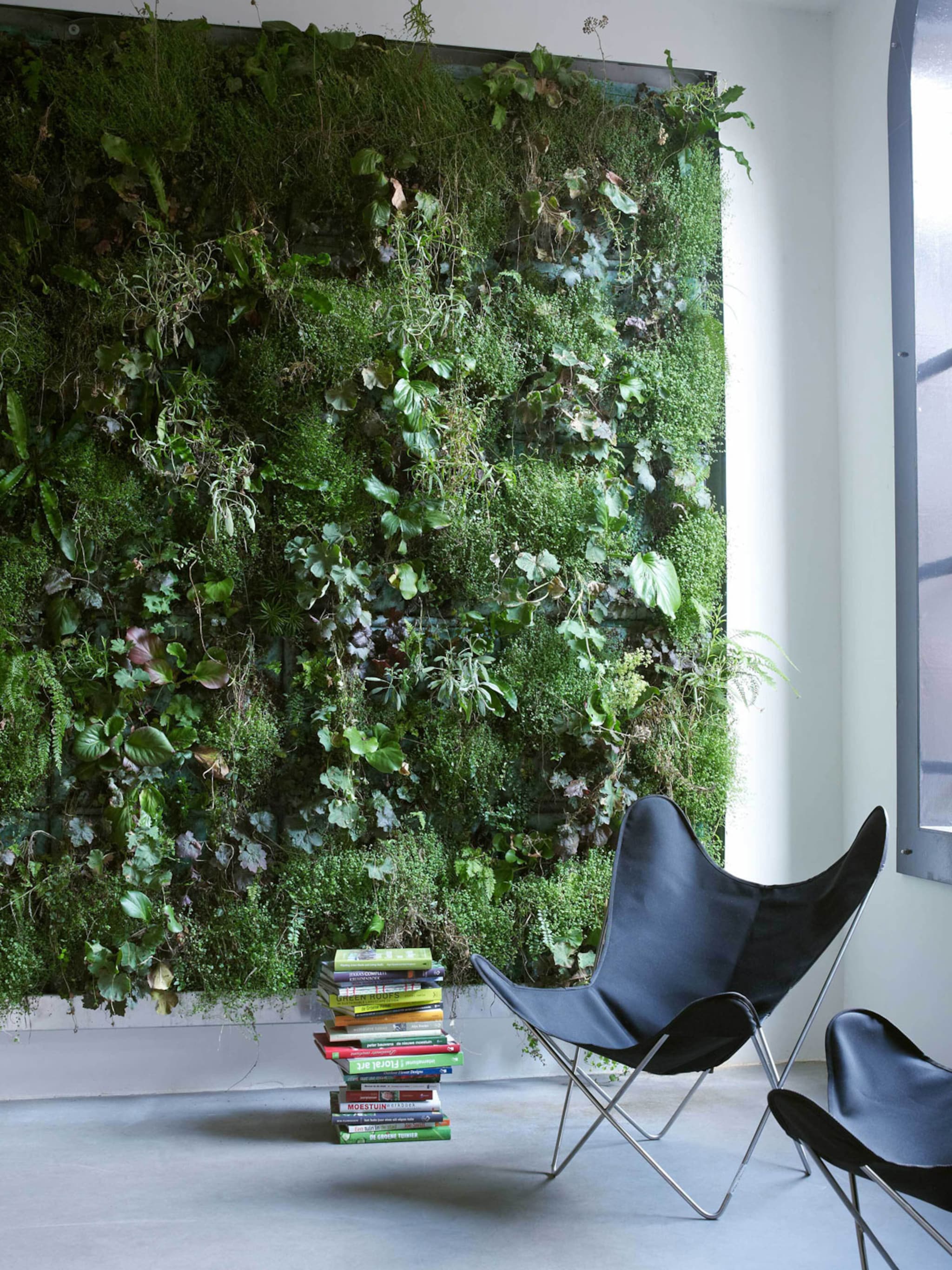 een moswand laten maken dit wil je weten voor je die groene trend in huis haalt