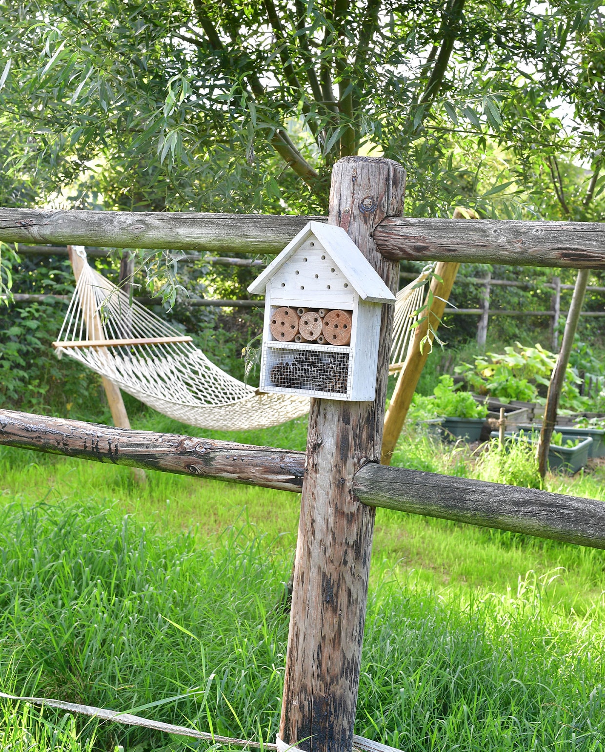 Miranda’s favoriete plek: de hangmat van Hangmatgigant in de moestuin, koel onder de oude wilg, met zicht op de bloemenweide. Insectenhuis Boerenbond.