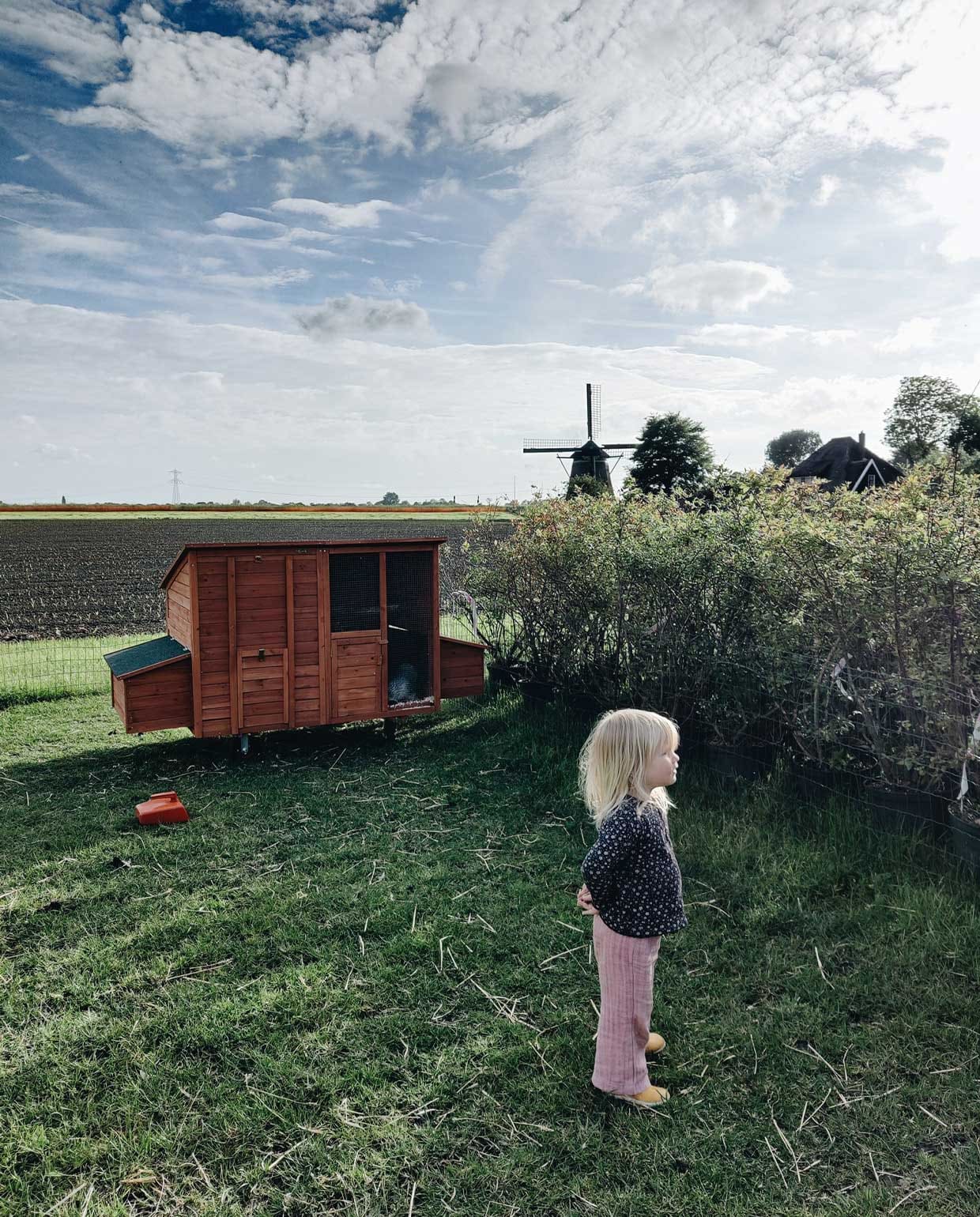 beeld vtwonen