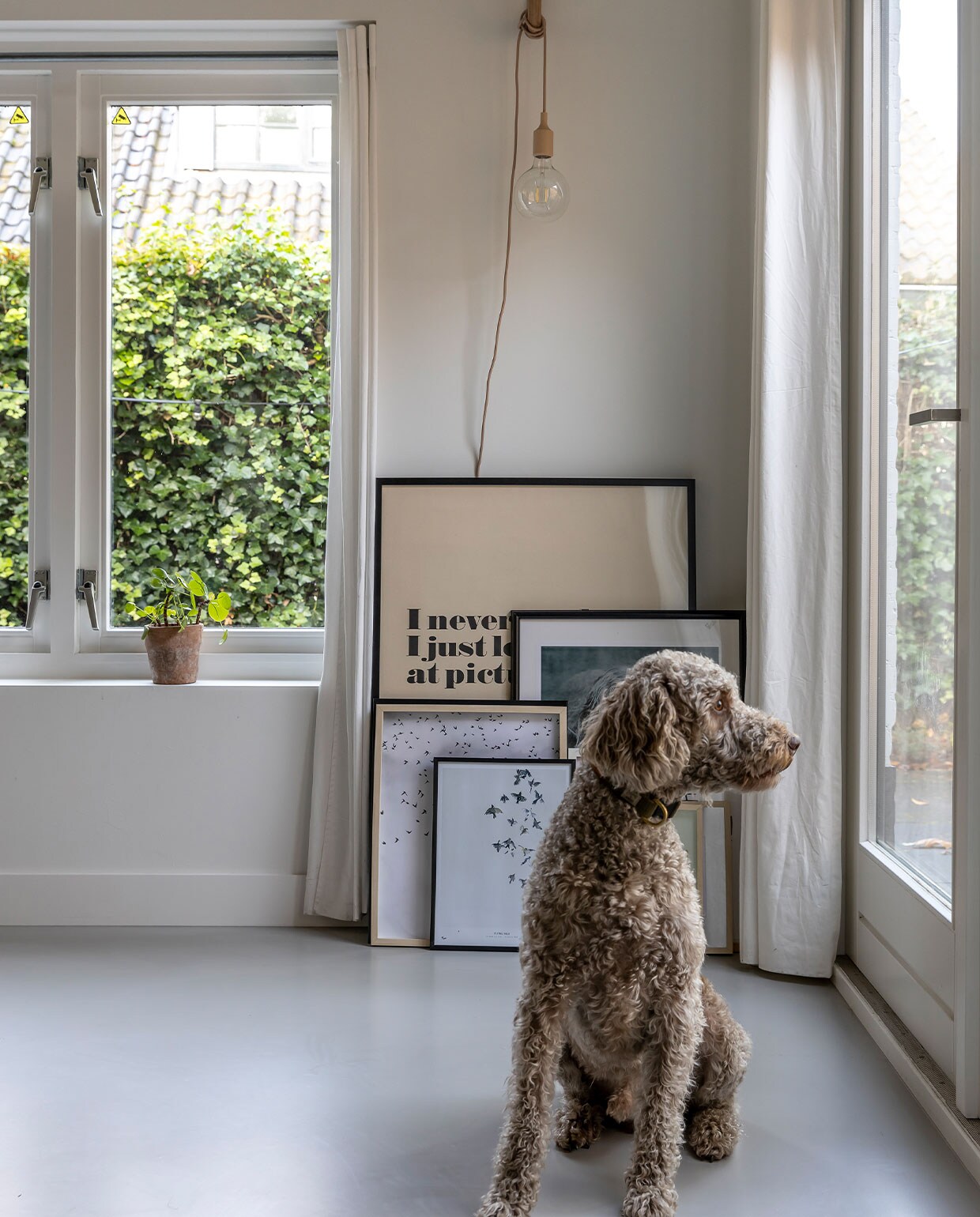 Oude gym-ring van Marktplaats met Muuto lamp, kunstwerk Andy Warhol Moderna Museet Stockholm, kunstwerk vogels My Dear Art Shop, overige lijsten Ikea.