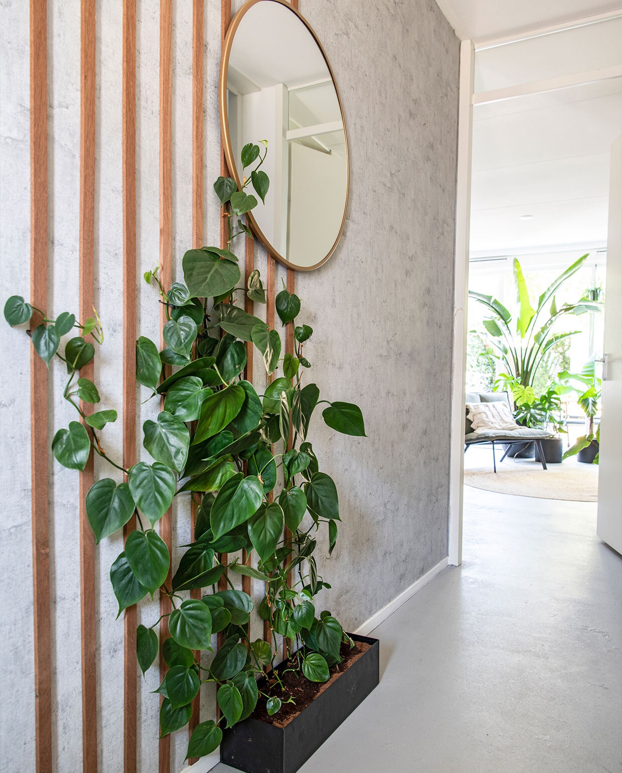 Plantenbak en spiegel, Xenos. Behang Kwantum. Plant: Philodendron Scandens.Latten op maat gemaakt bij Gamma.