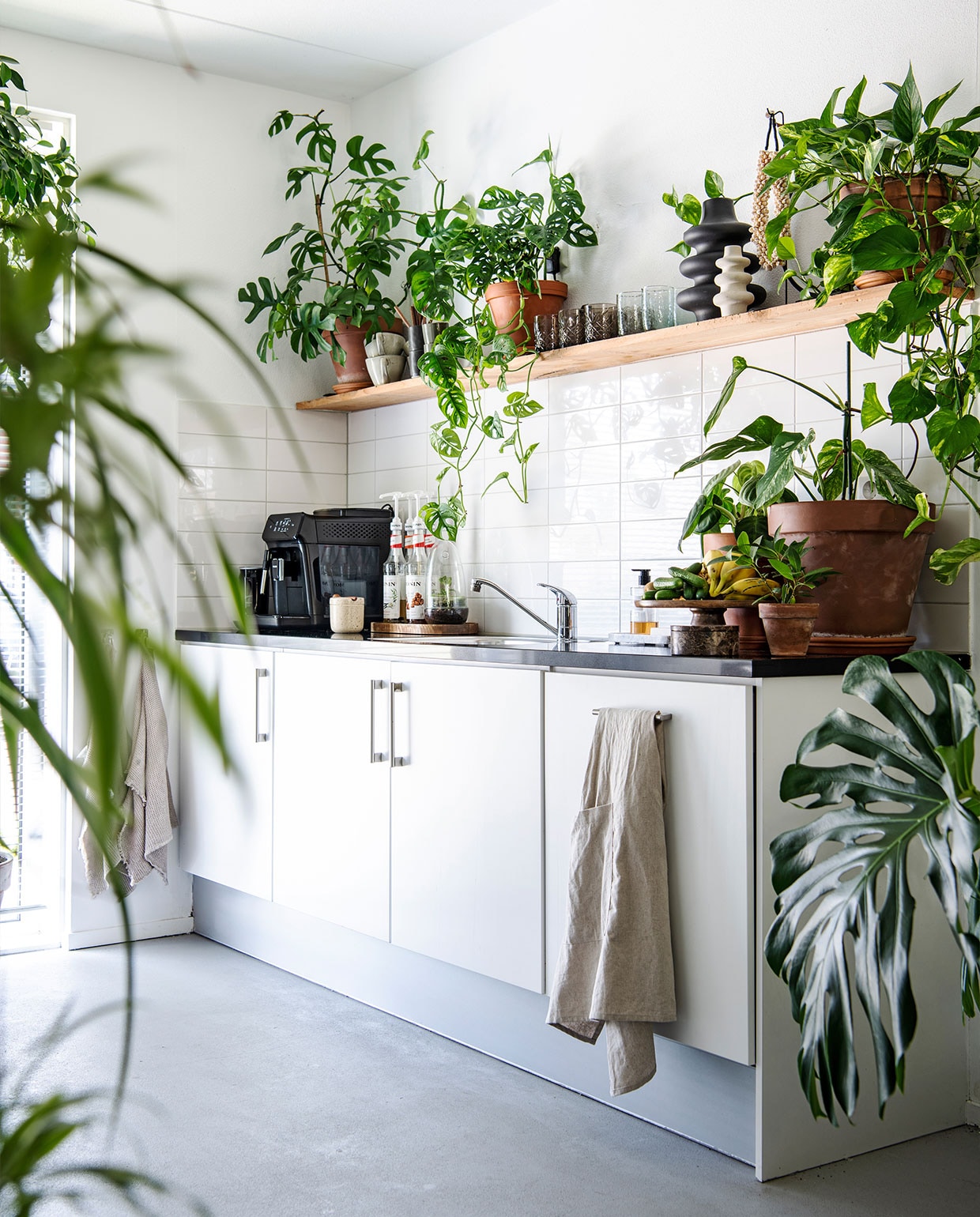Aanrechtkasten onbekend. Plantenpotten Intratuin, plank tweedehands. Vazen, potten, marmeren bak, houten schaal Home. Planten: Ficus Benjamina Exotica, Monstera Minima, Monstera Adansonii, Scindapsus Marble Queen, Monstera Variegata, Monstera Deliciosa.