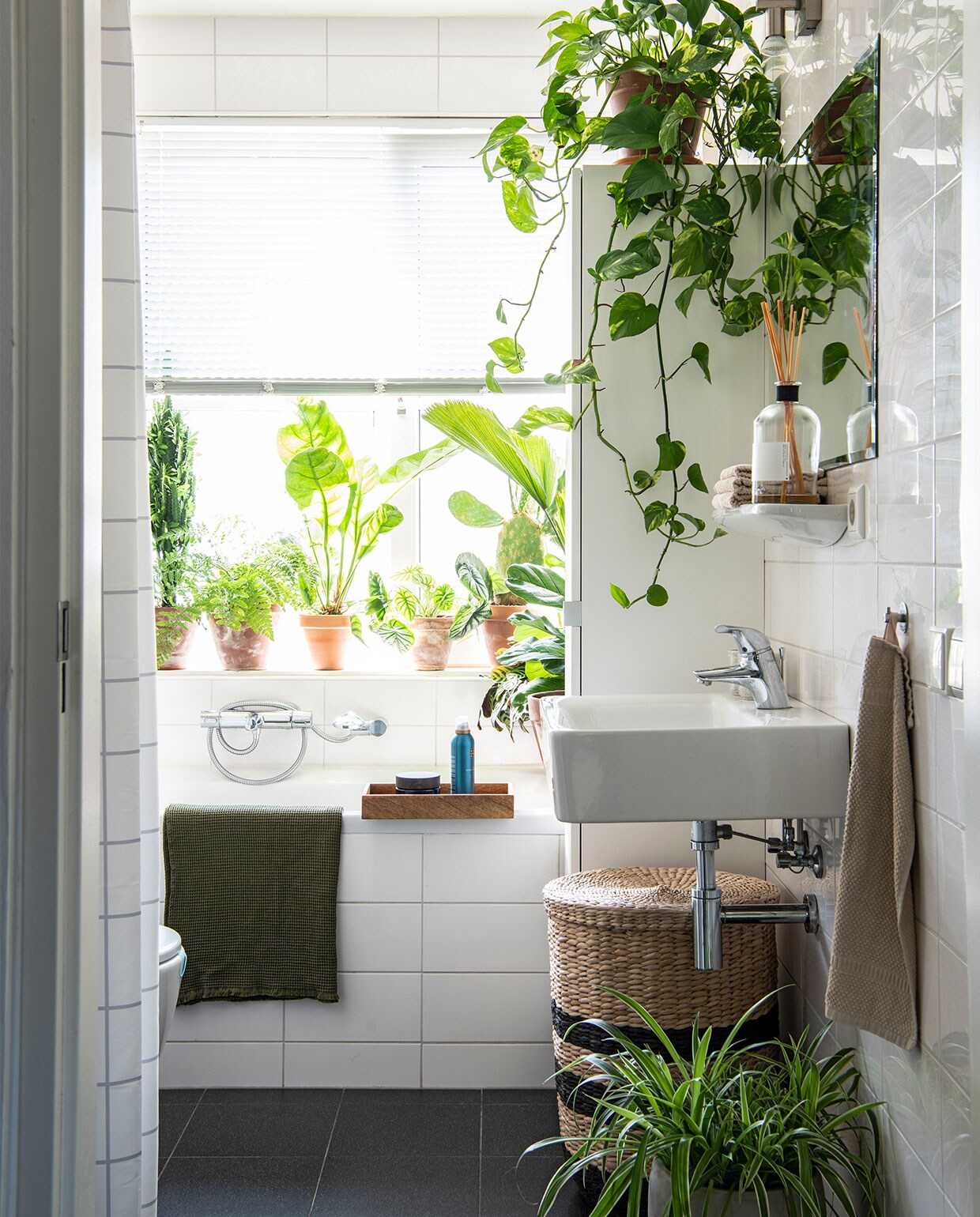 Rieten mand Kwantum. Spiegel Gamma, potten Intratuin. Planten Scindapsus Marble Queen, Chlorophytum Comosum.